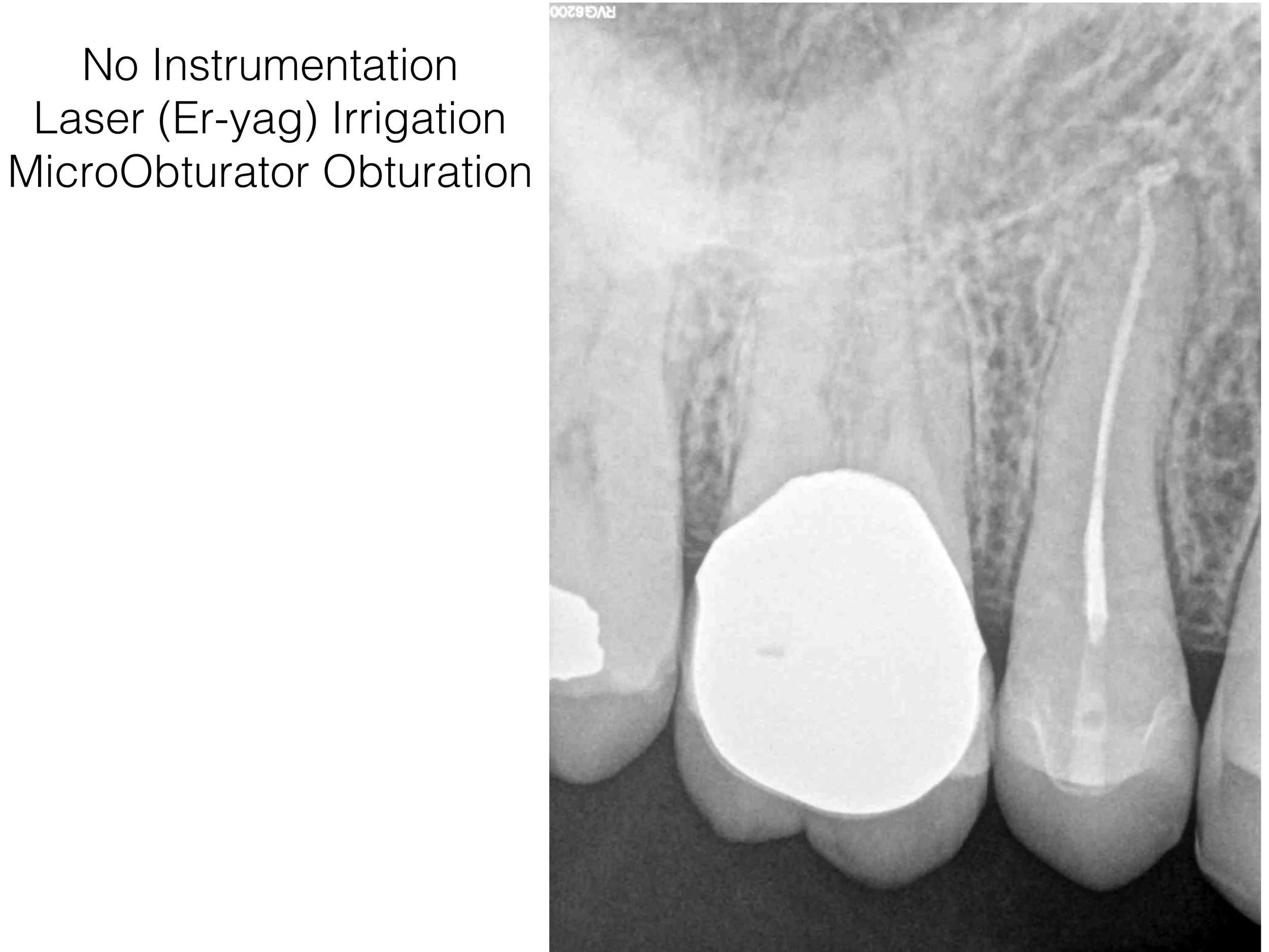 Slide12.jpg