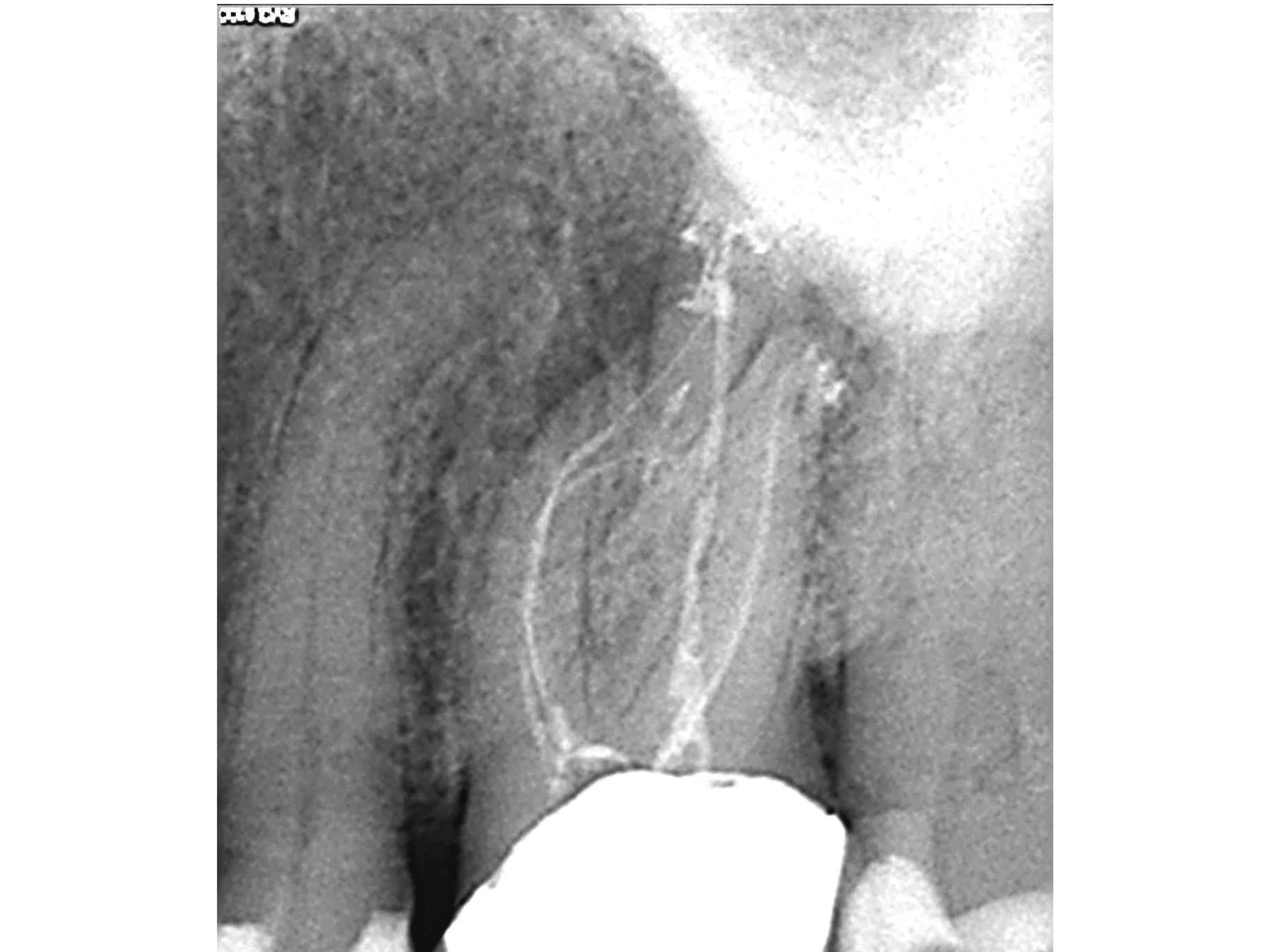 Slide16.jpg
