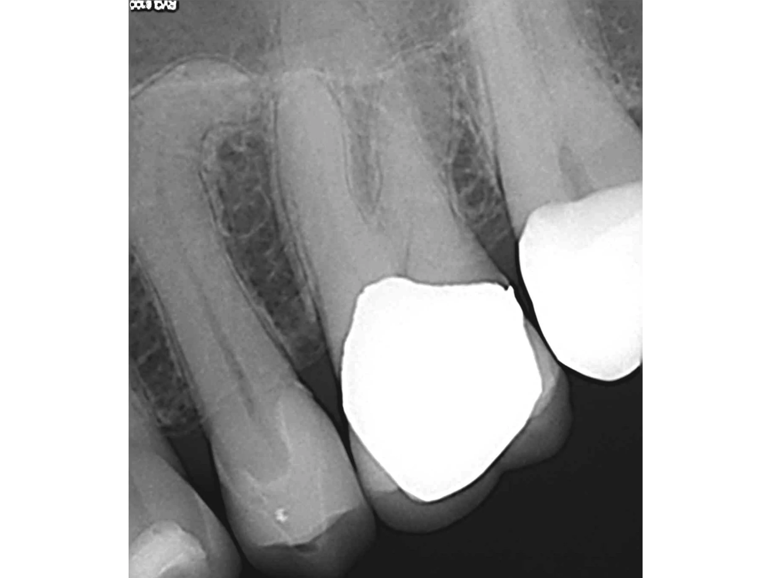 Slide20.jpg
