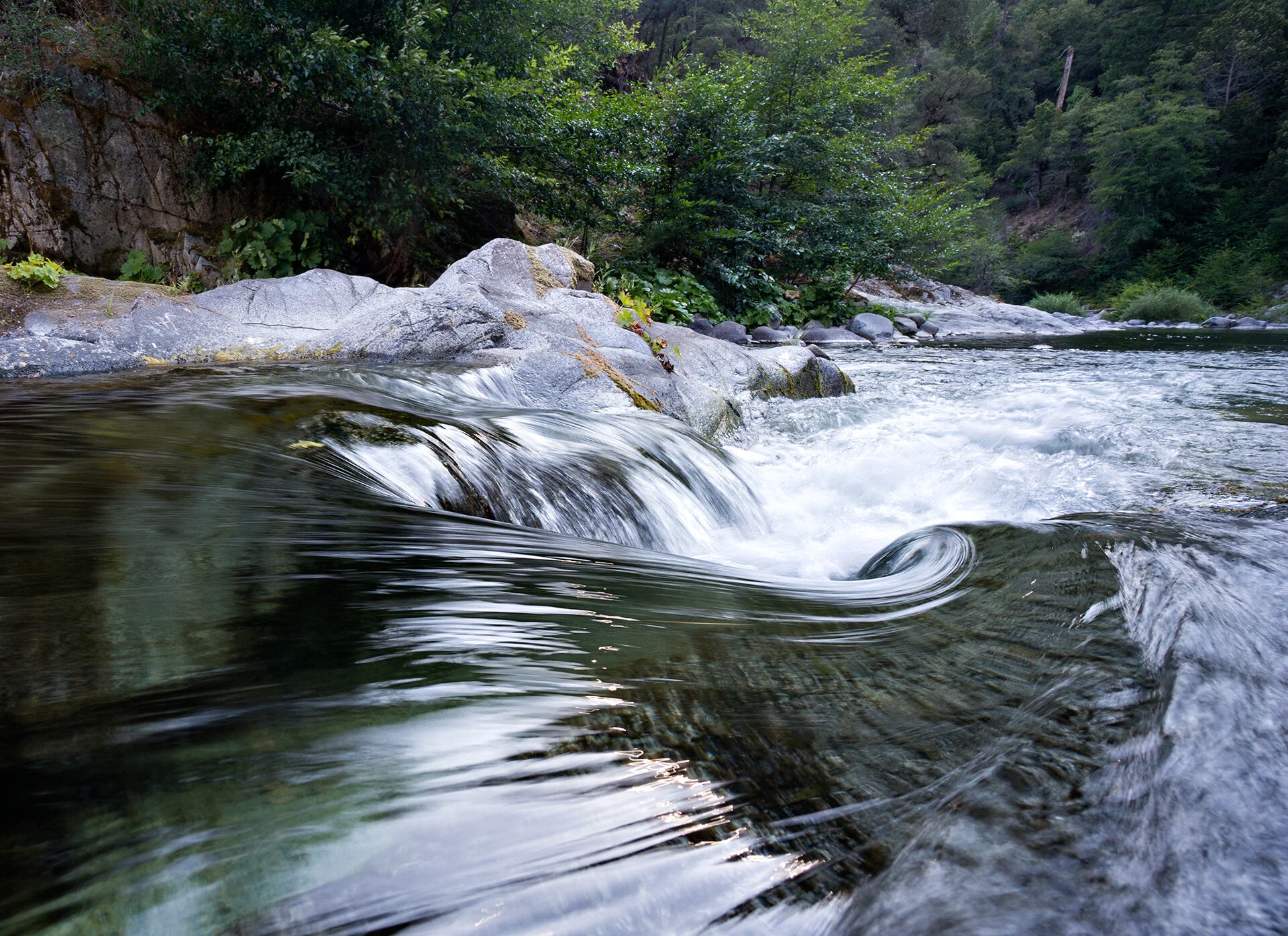 River_eddy_(20501969791).jpeg