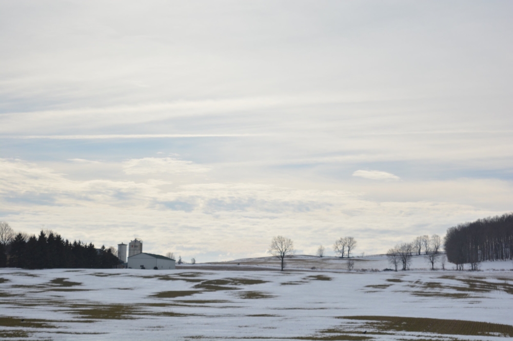 farm trees clouds.jpg