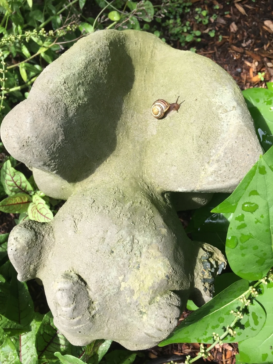 This snail is getting it done today. I’m feeling very unproductive in comparison.