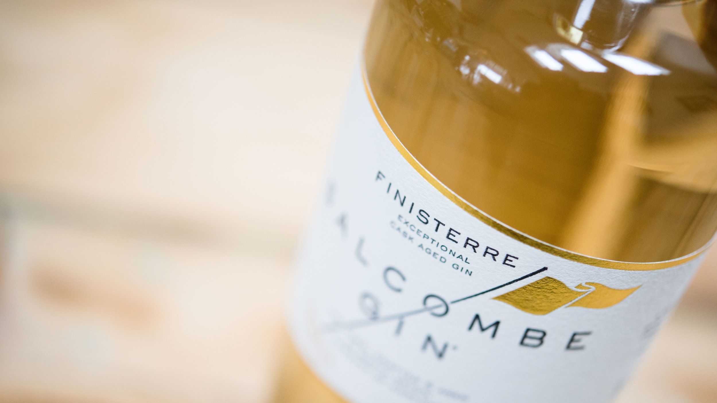 SALCOMBE_GIN_211117_161_smaller.jpg
