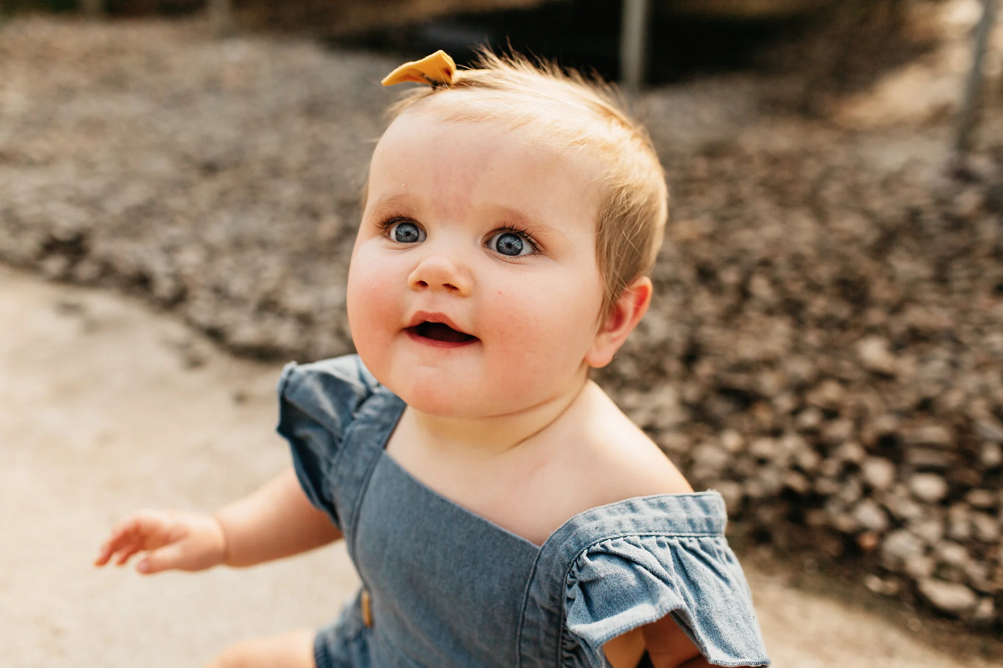 MartinFamilyPortraits21.jpg