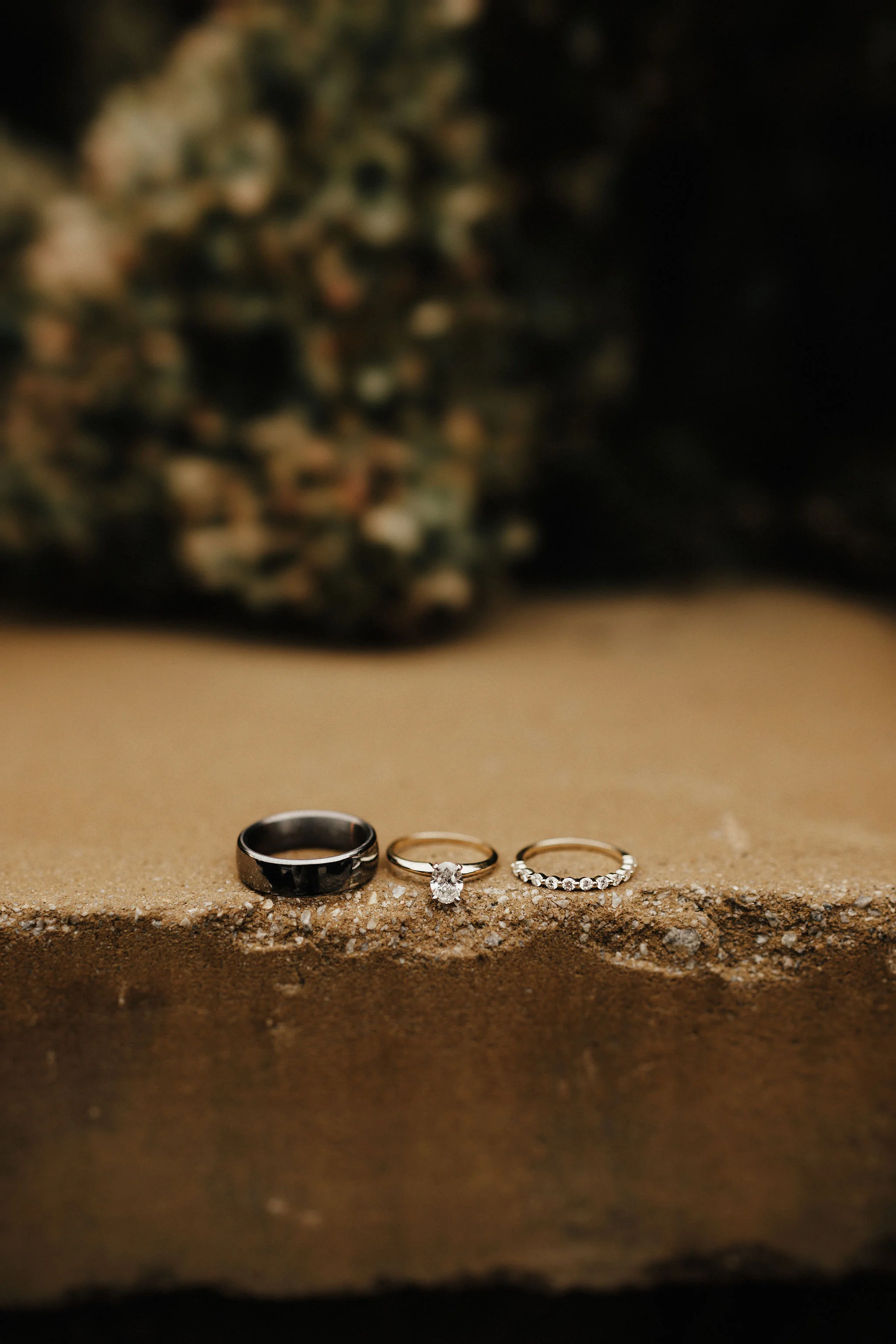48Cat&SeanMarried.jpg