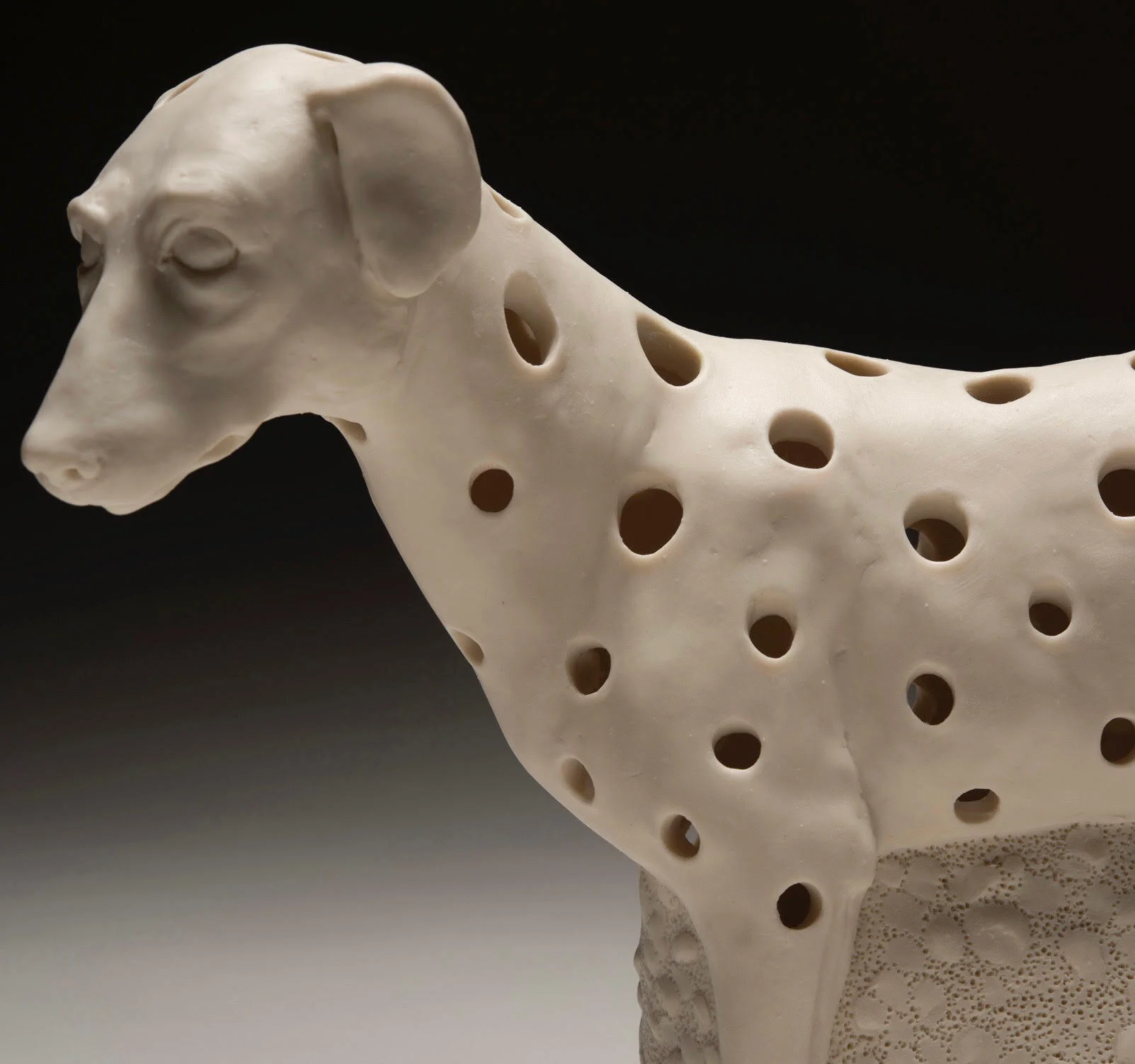 3 - Holey Dog Vase 2021 .jpeg