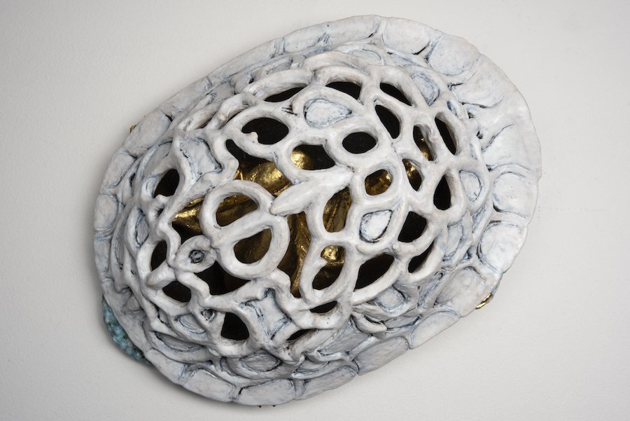 3b. Arleo Carapace II top copy.jpeg