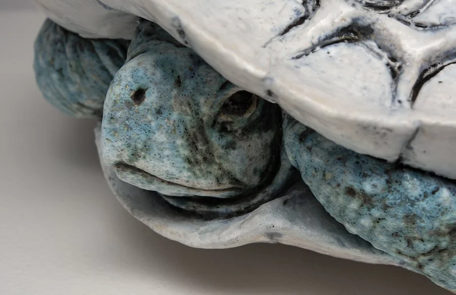 3c, Arleo Carapace II detail head copy.jpeg