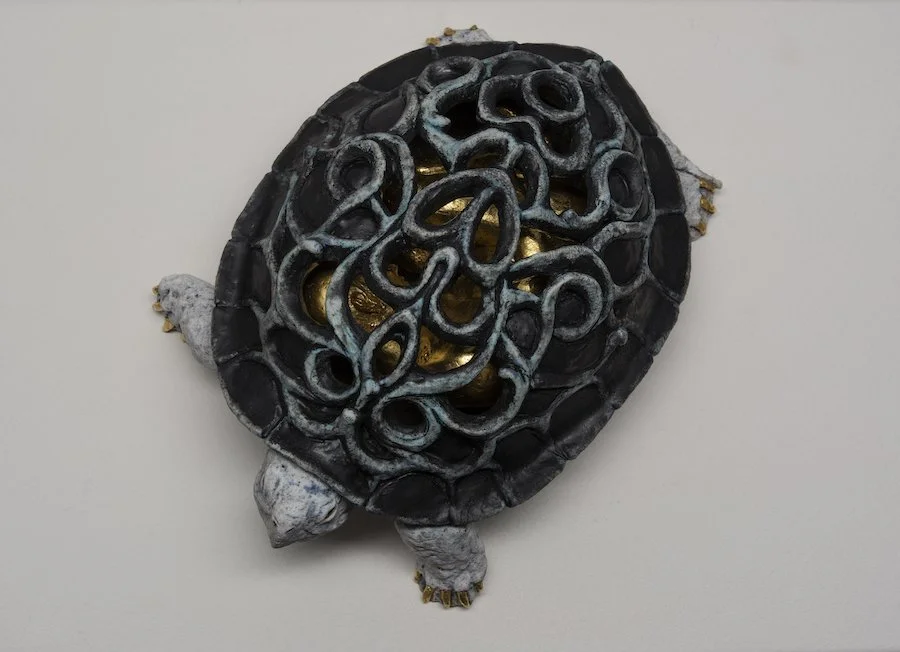 4c. Arleo Carapace III top copy.jpeg