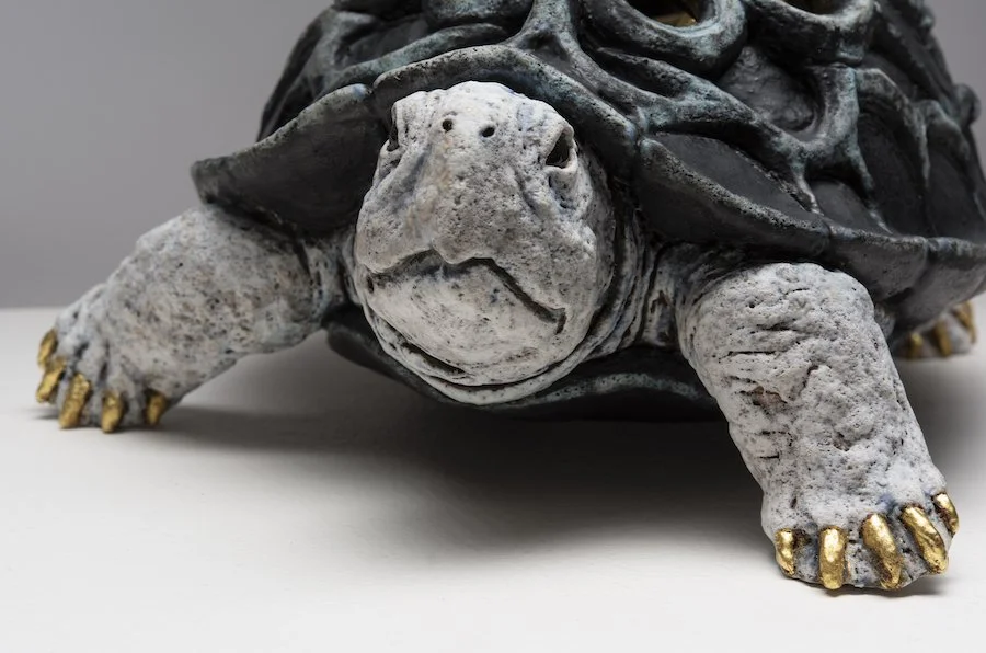 4d. Arleo Carapace III detail front copy.jpeg