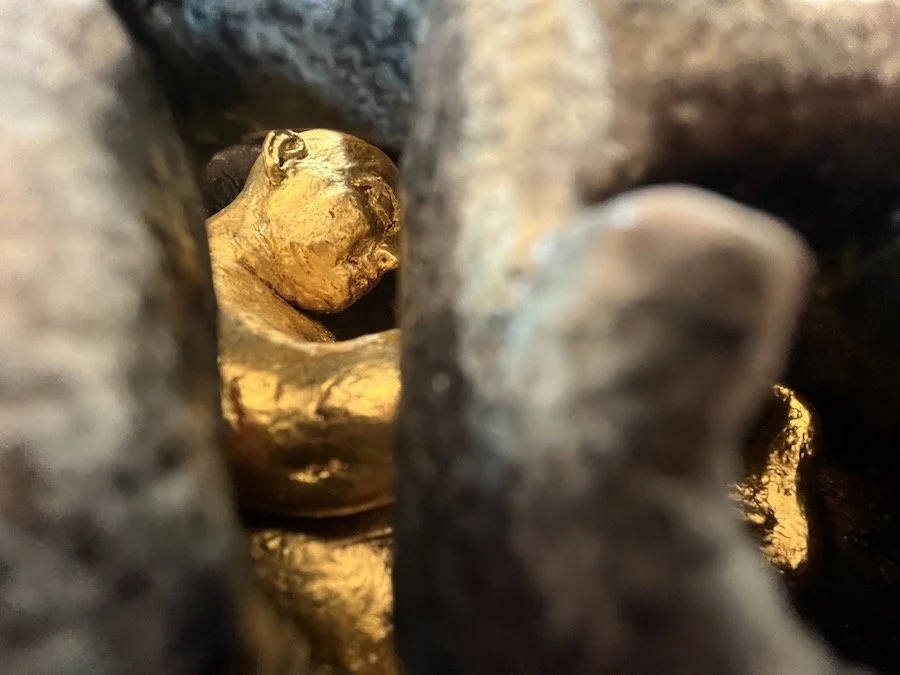 4f. Arleo Carapace III detail interior man 2 copy.jpeg