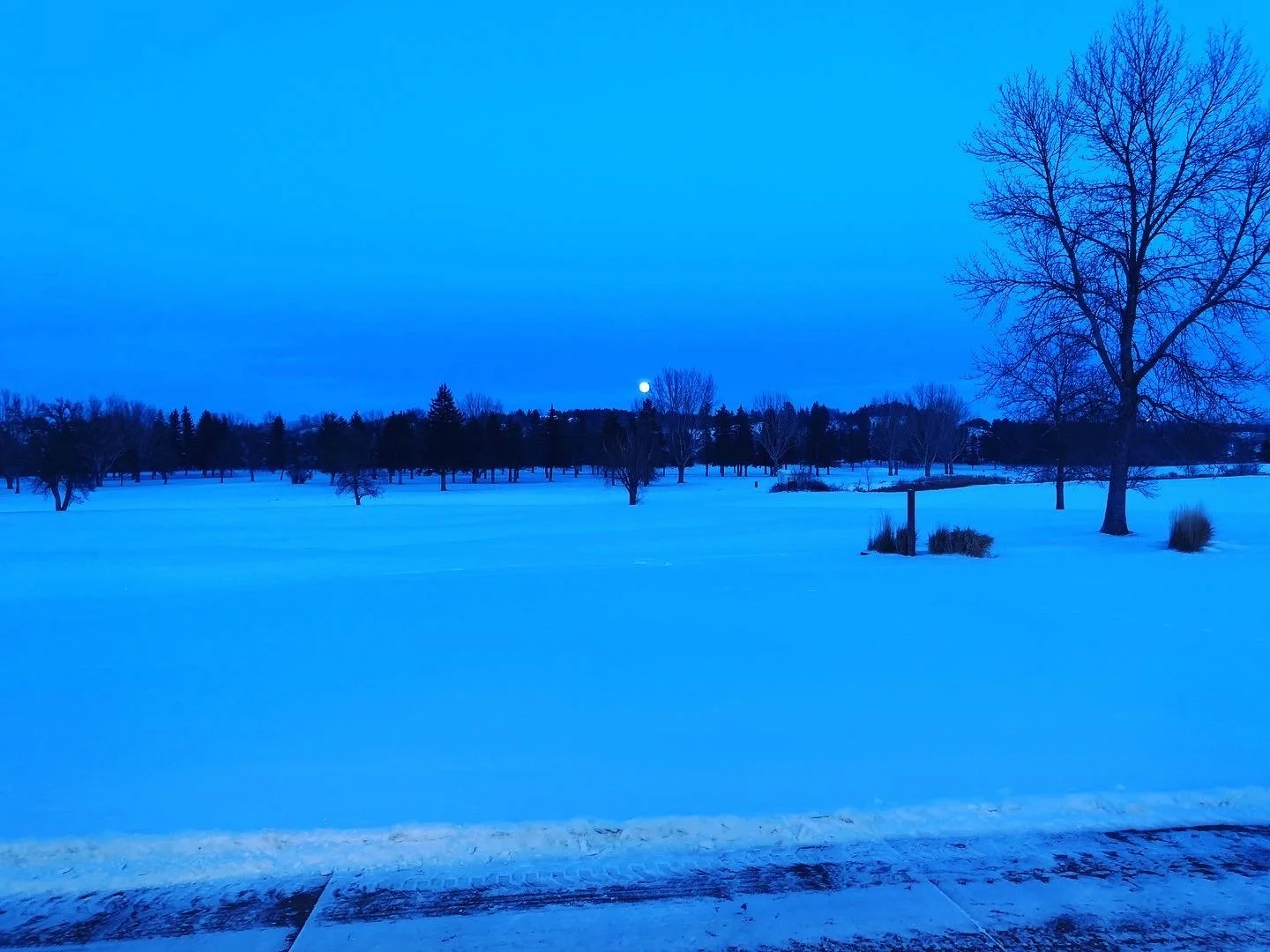 Winter Simulator League Begins Monday thru Thursday  