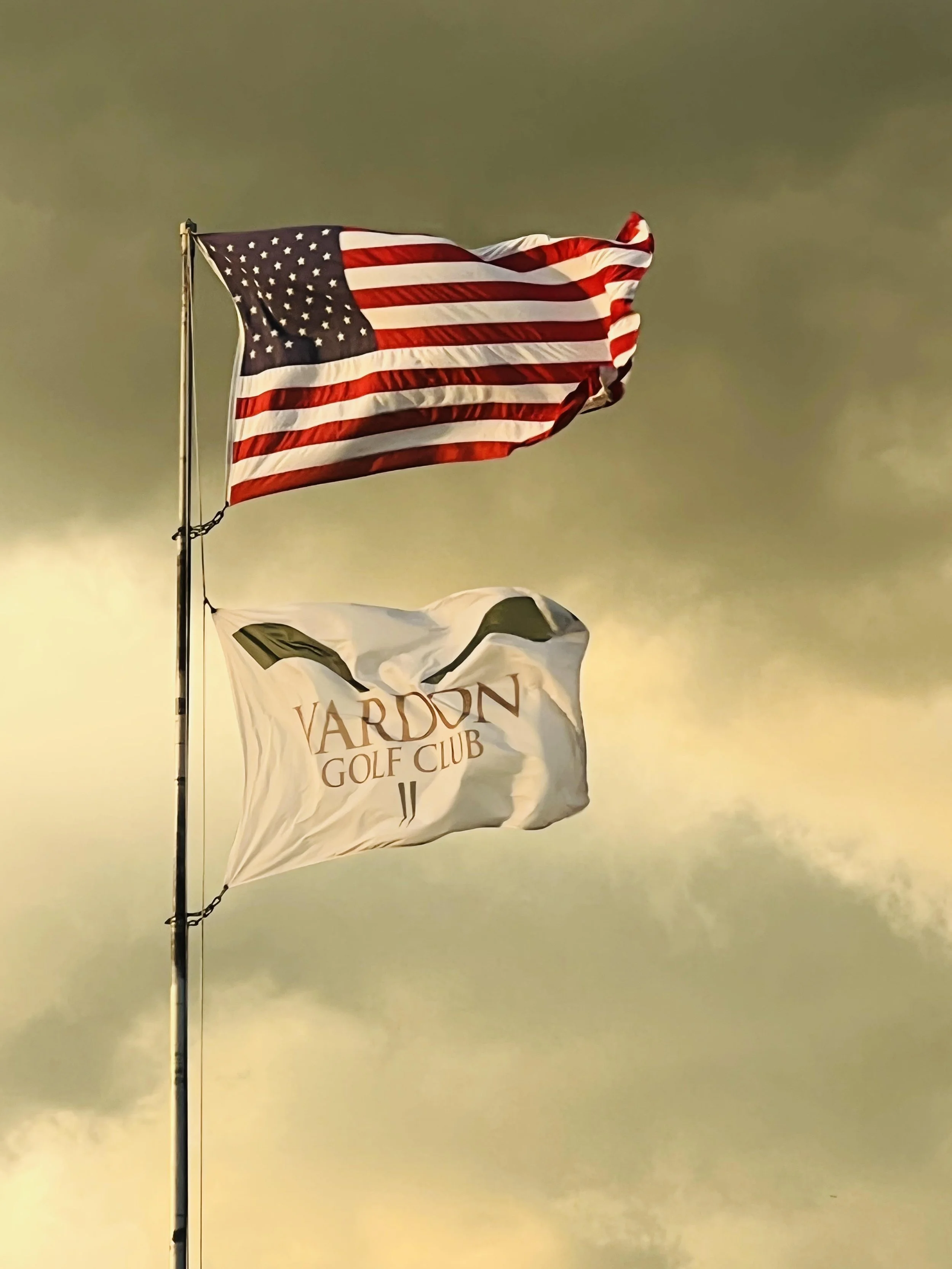 THE VARDON CUP GOLF TOURNAMENT - MEMBER GUEST MATCH PLAY