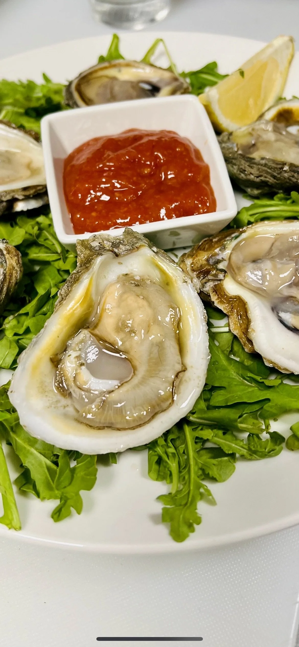 Oyster Half Shell.jpg