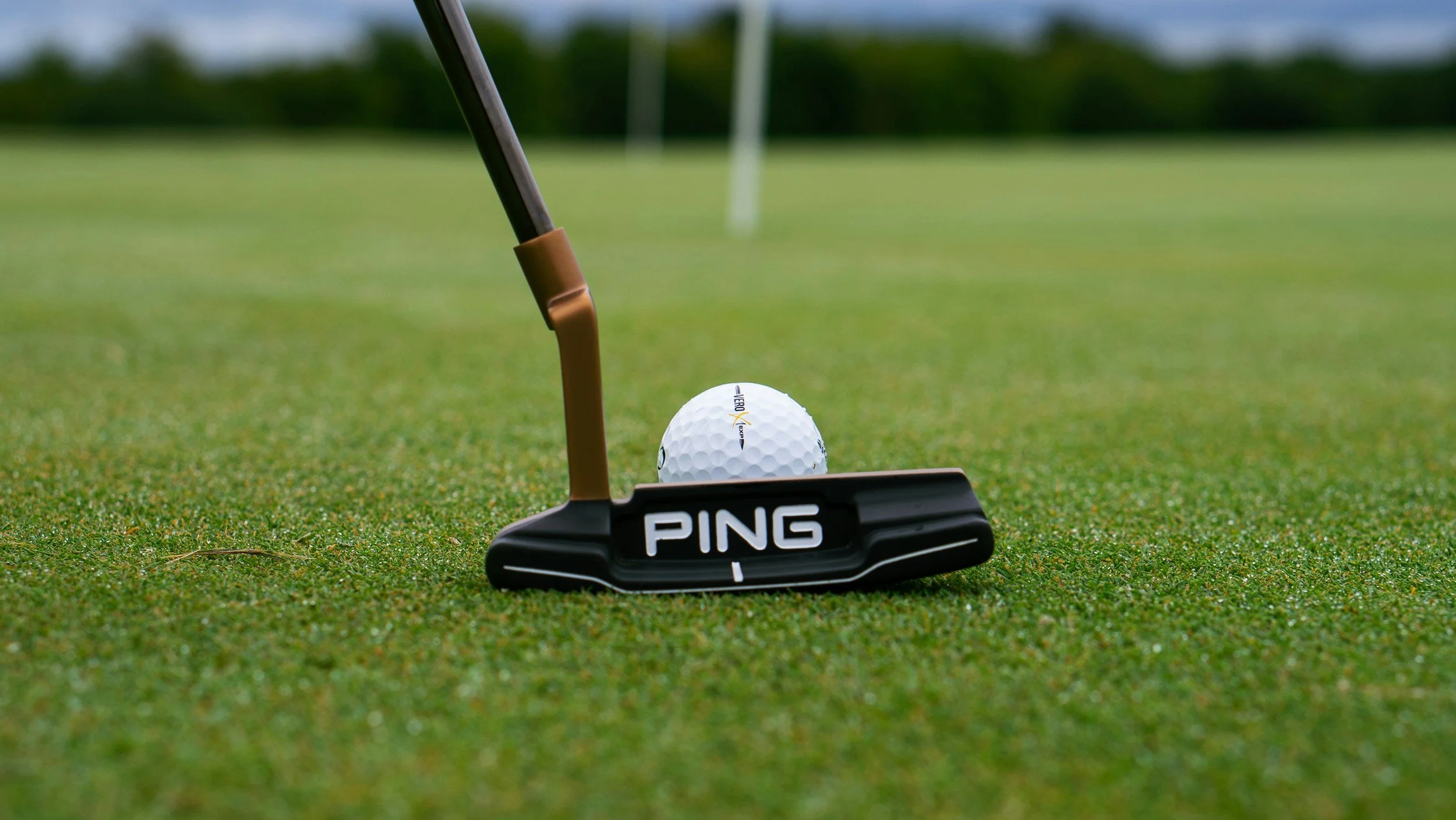 PING DEMO DAY 