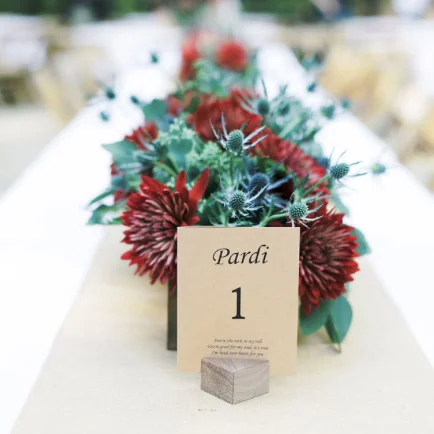 country stars as table setting 2, reception -square.jpg