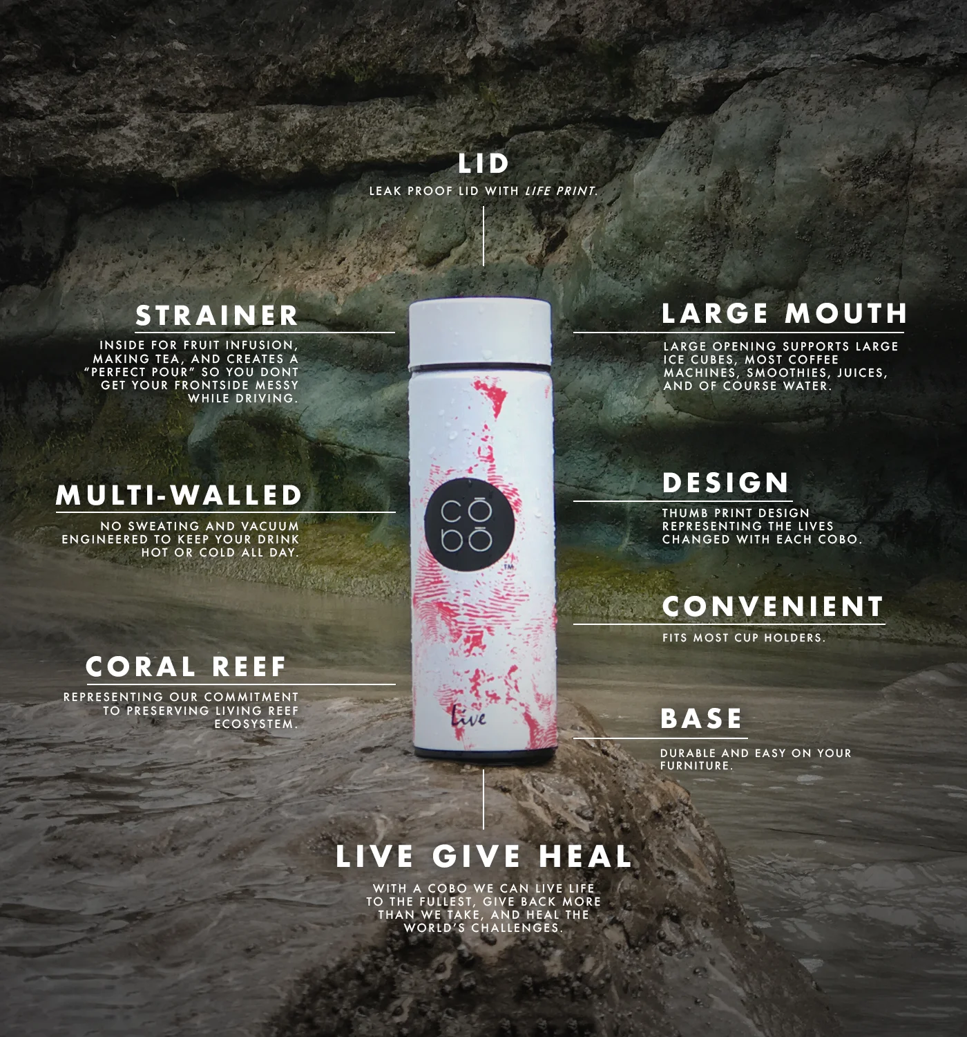 Trash Free Coral Reef_Diagram Image_COBO Website.jpg