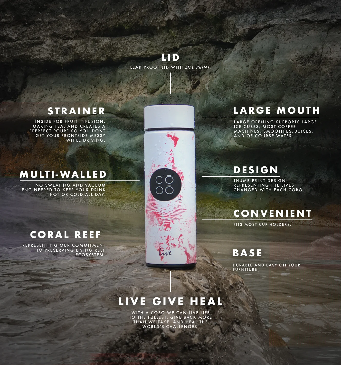 CORAL.REEF.DIAGRAM.jpg