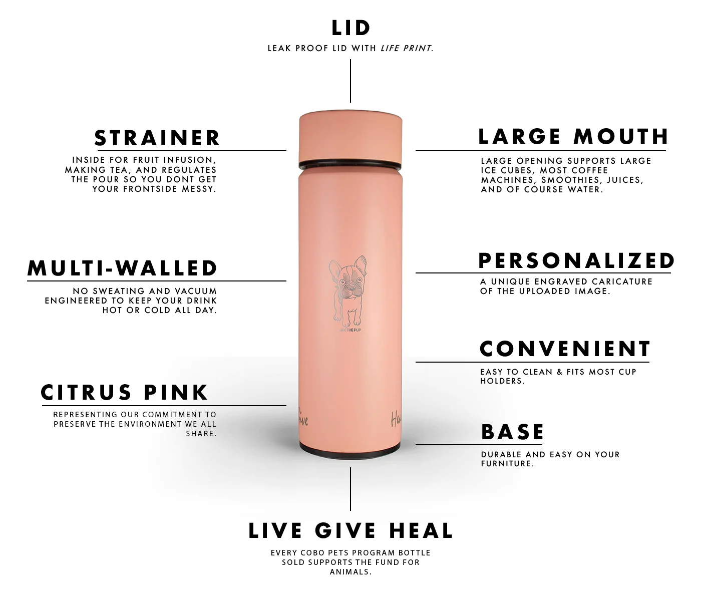 COBO-PET.DIAGRAM-PINK.jpg