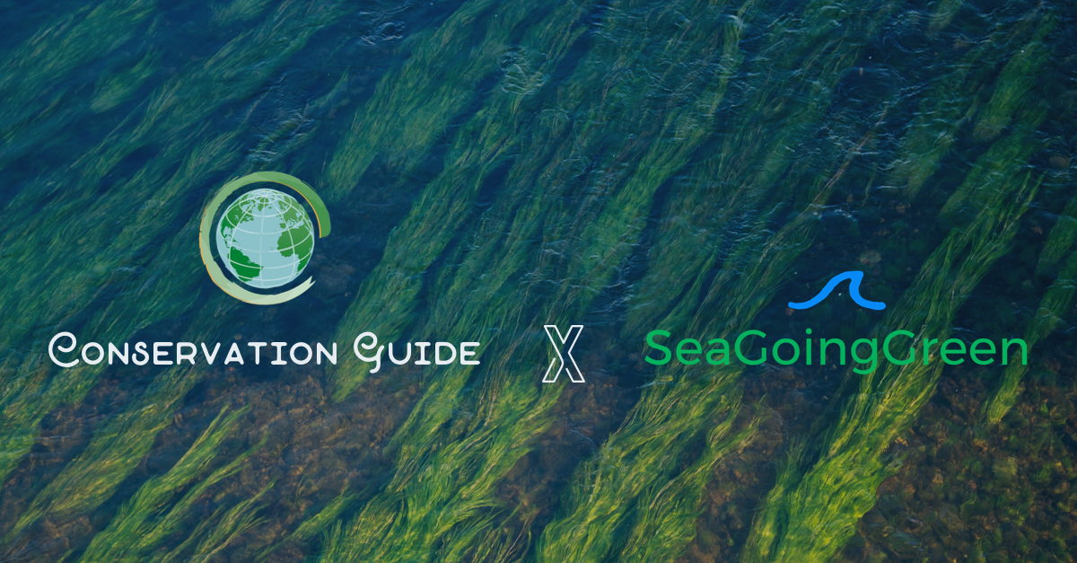 CG x SGG Facebook banner-1.png