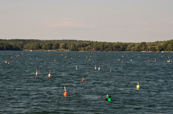 Real gear density of lobster fishing gear off the coast of Maine. Picture by: Andrew Malone
