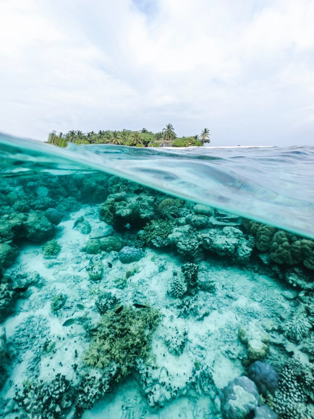 Sustainable ocean environment
