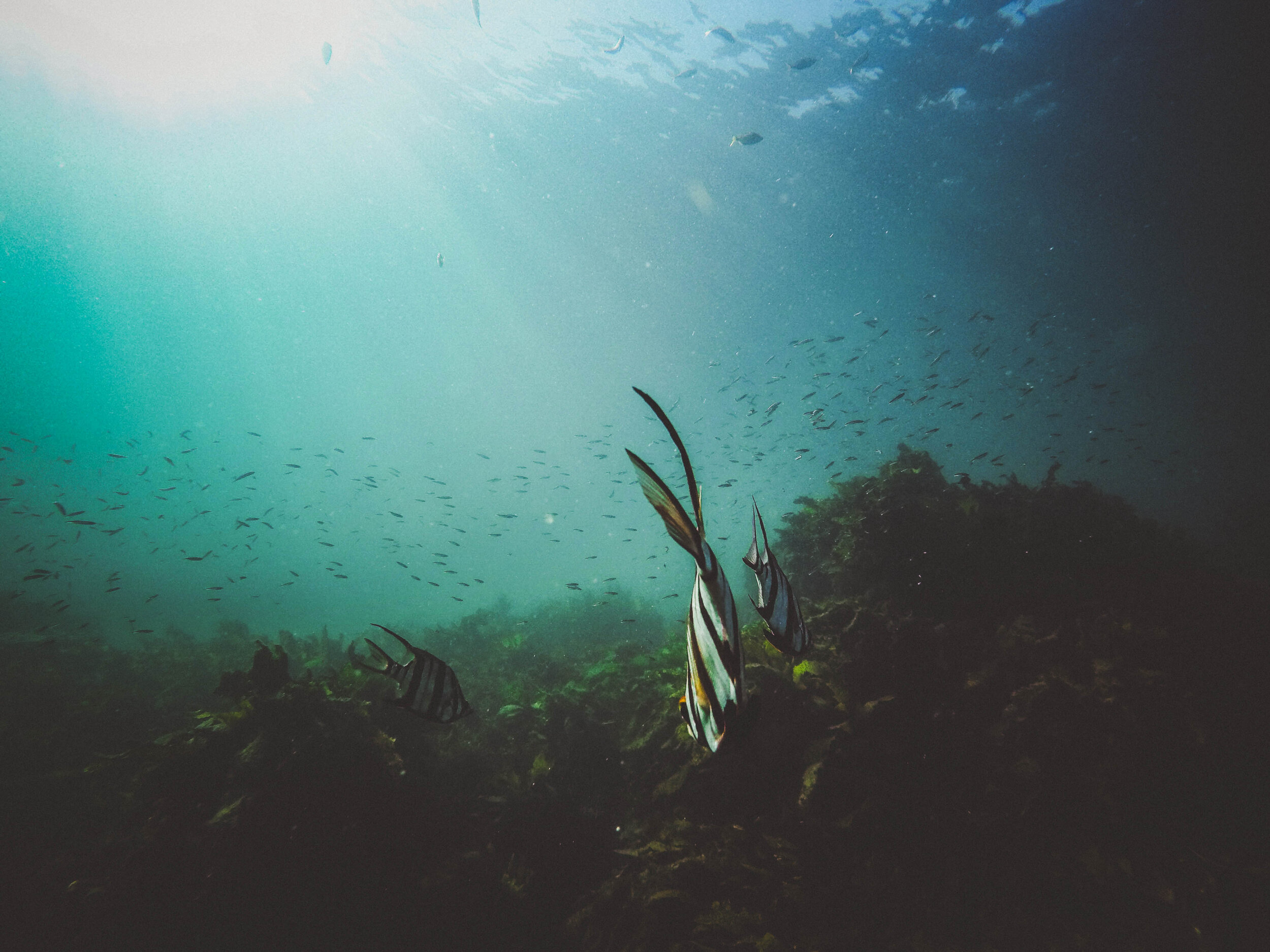 DCIM\100GOPRO\G0058314.