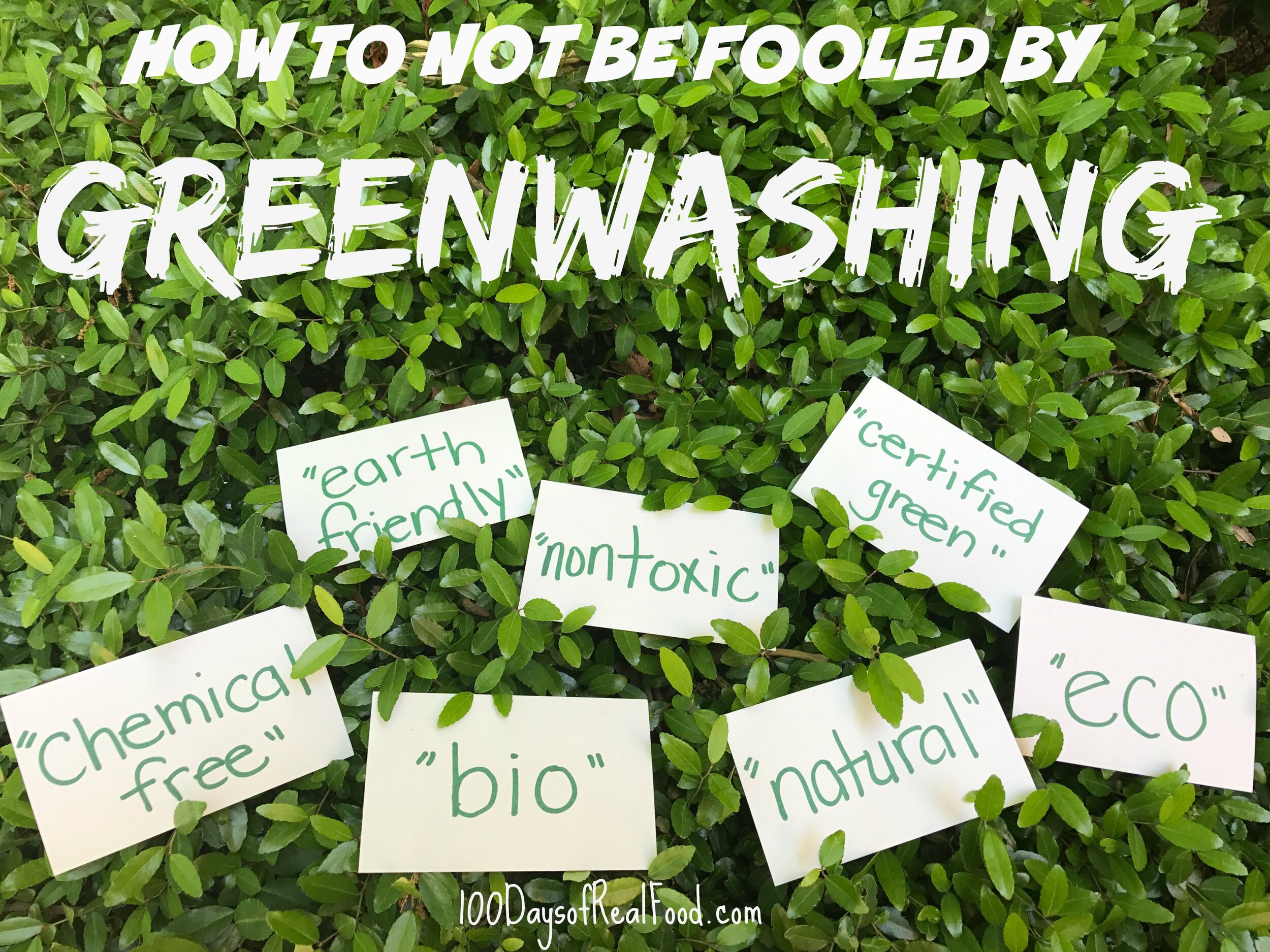 What are the disadvantages of green business?