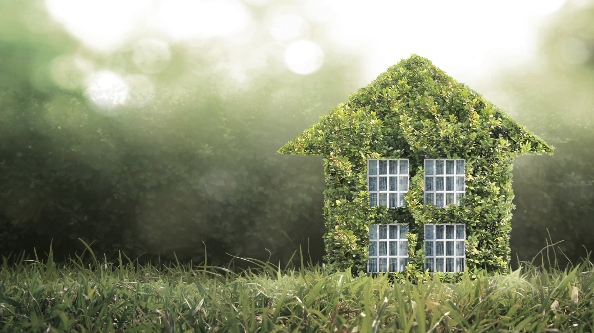 A Guide For Eco-Conscious Homeowners in 2021 — Sea Going Green