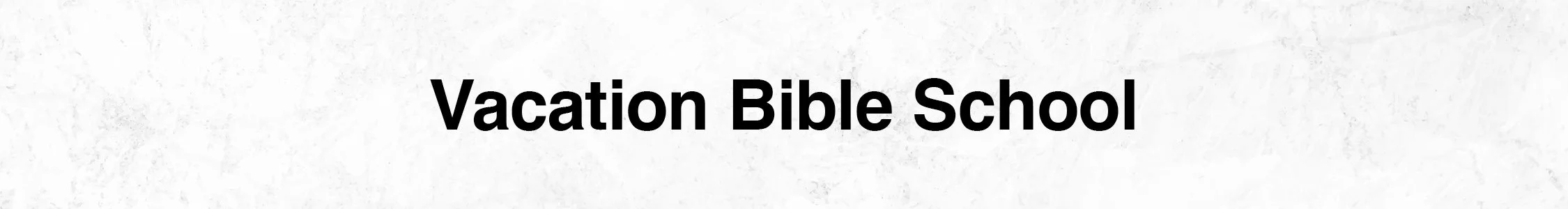 web banner - VBS.jpg
