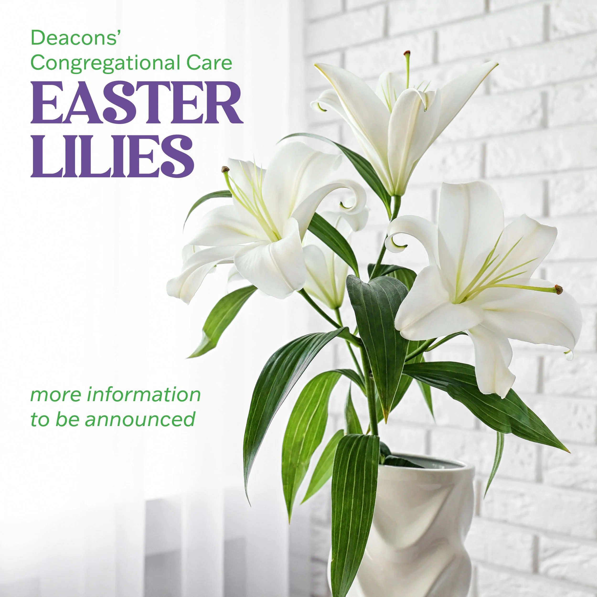 Easter 2026 block-lily.jpg