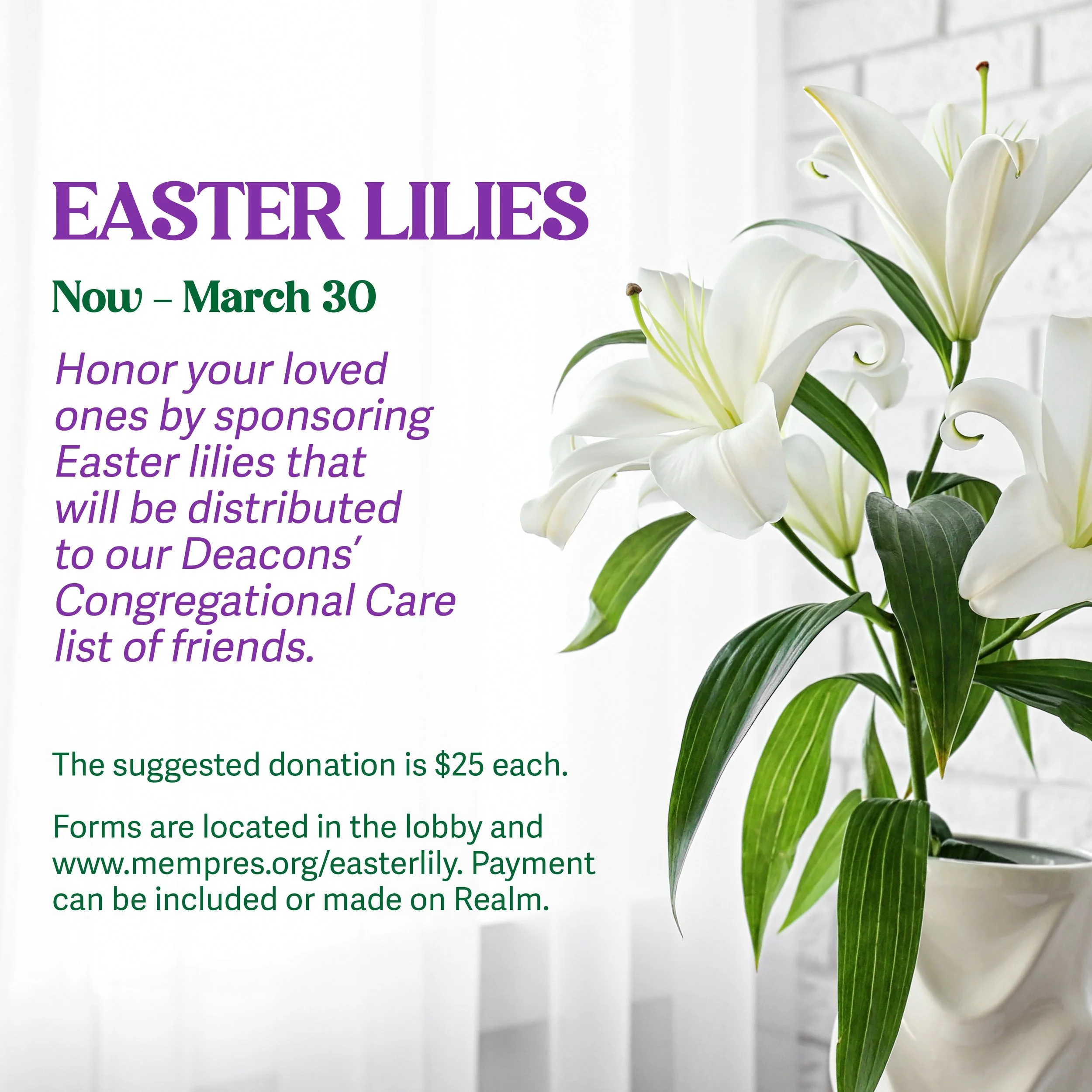 Easter Lily 2026 block-details.jpg