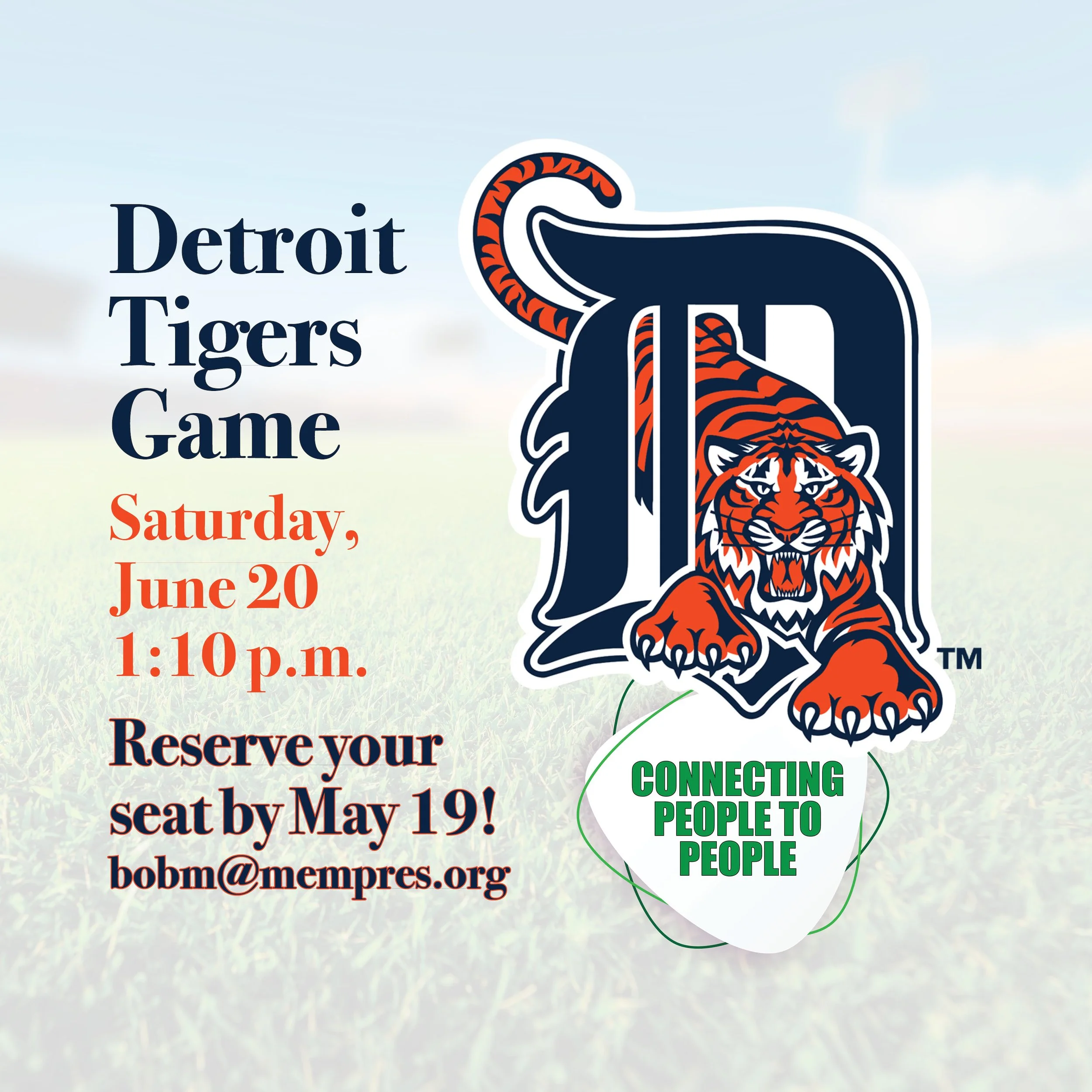 Detroit Tigers Game