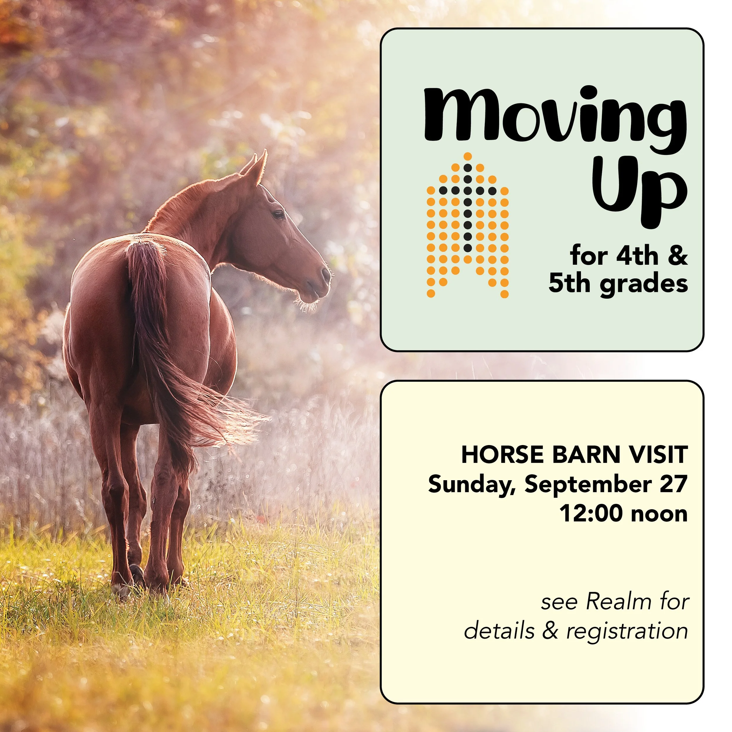Moving Up – Horse Barn