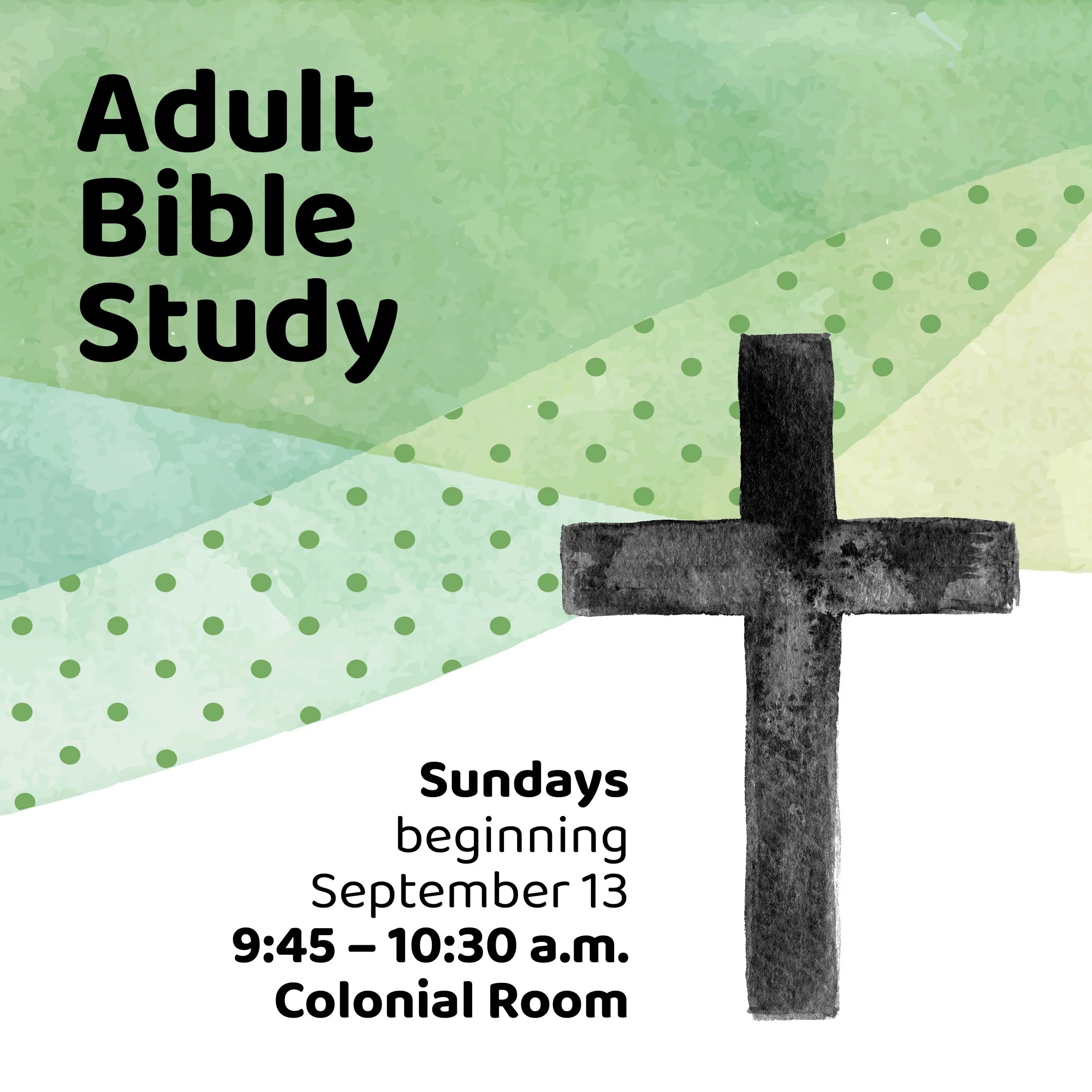 Sun Adult Bible block2026.jpg