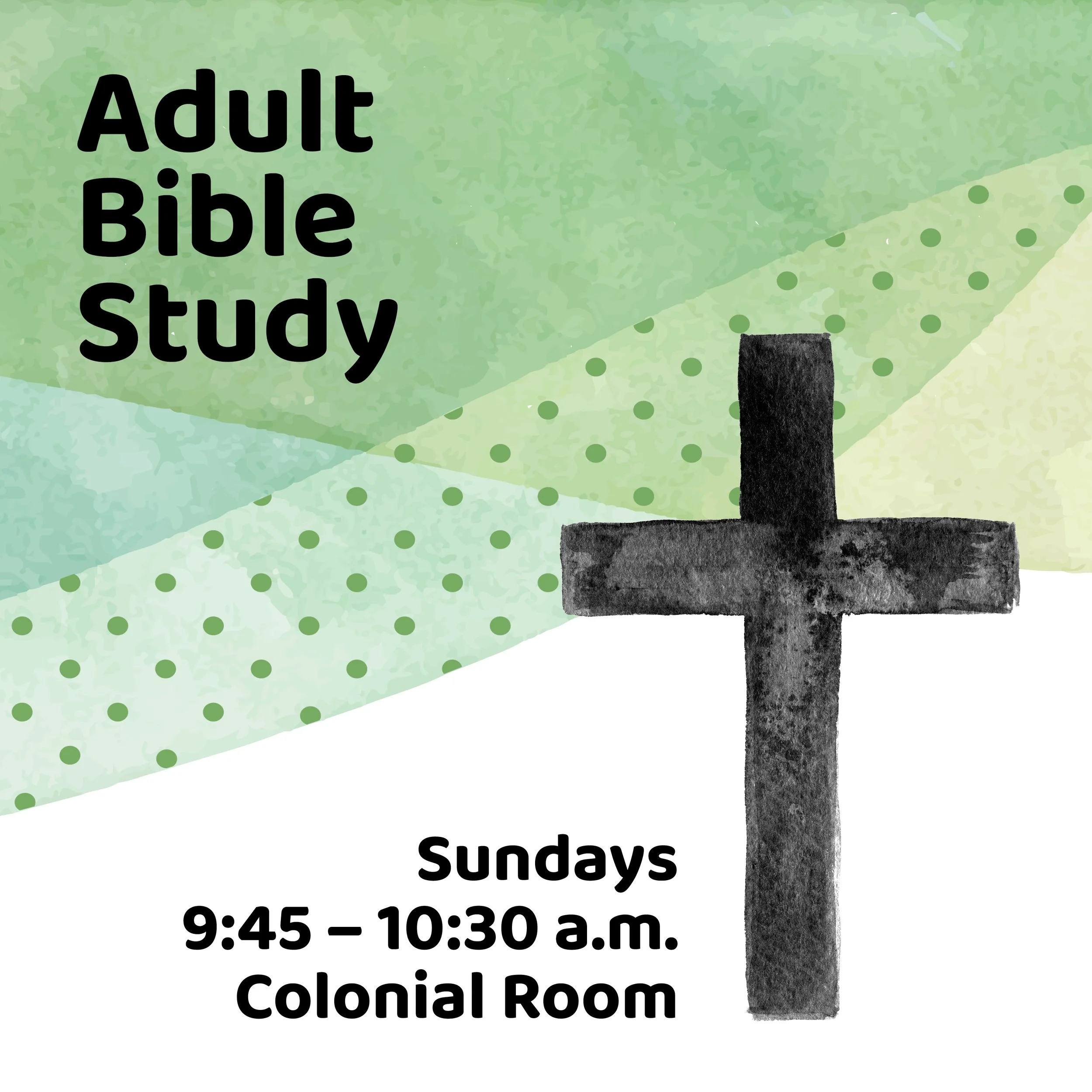 Sun Adult Bible block2026.jpg