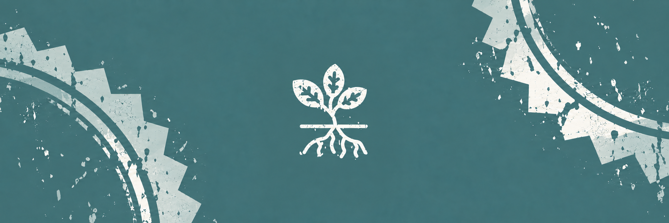 Asymmetric curved plant on teal.png