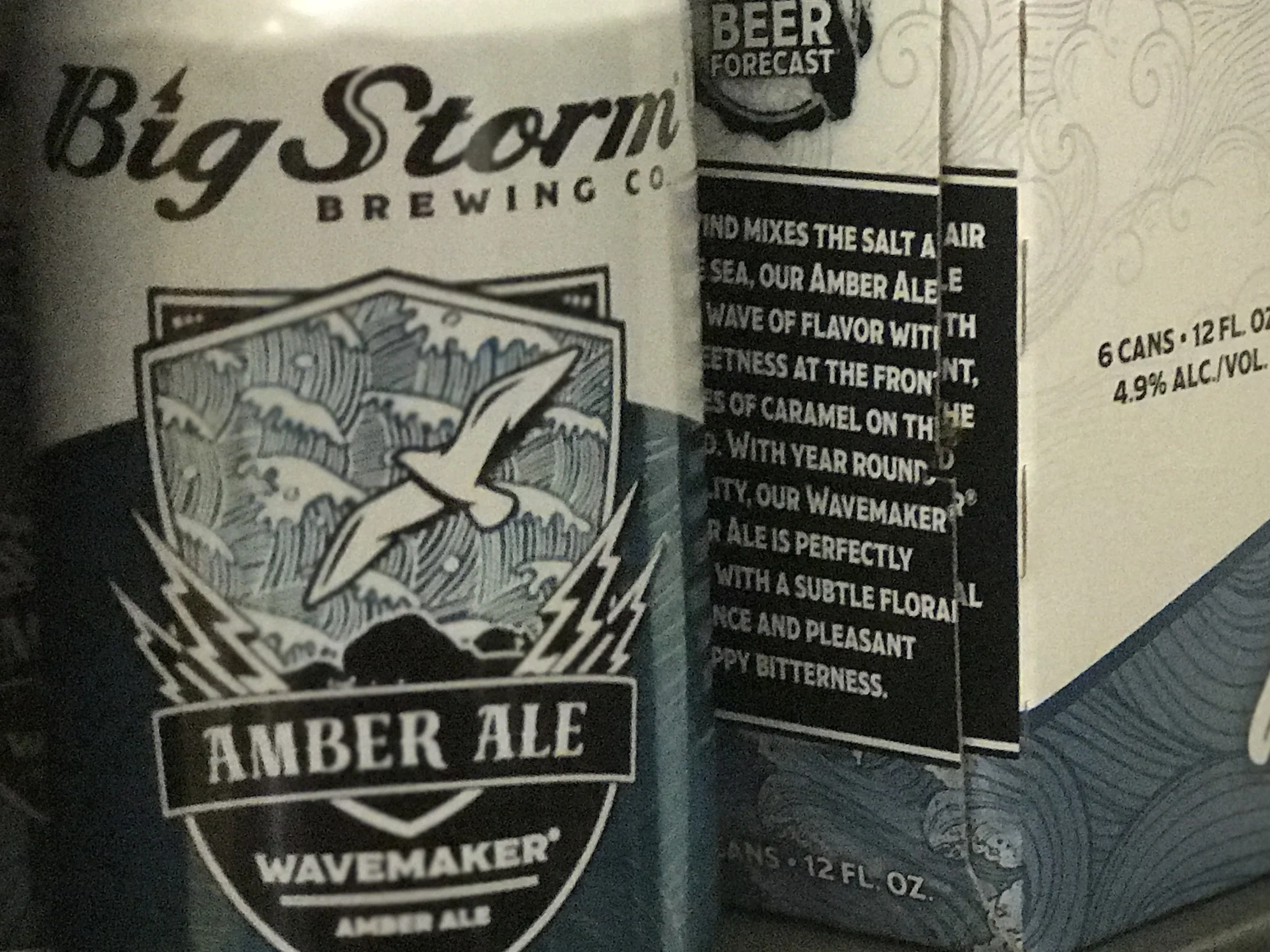 Quick Bite # 1:  Big Storm Wavemaker Amber Ale at the Tampa Beer Run