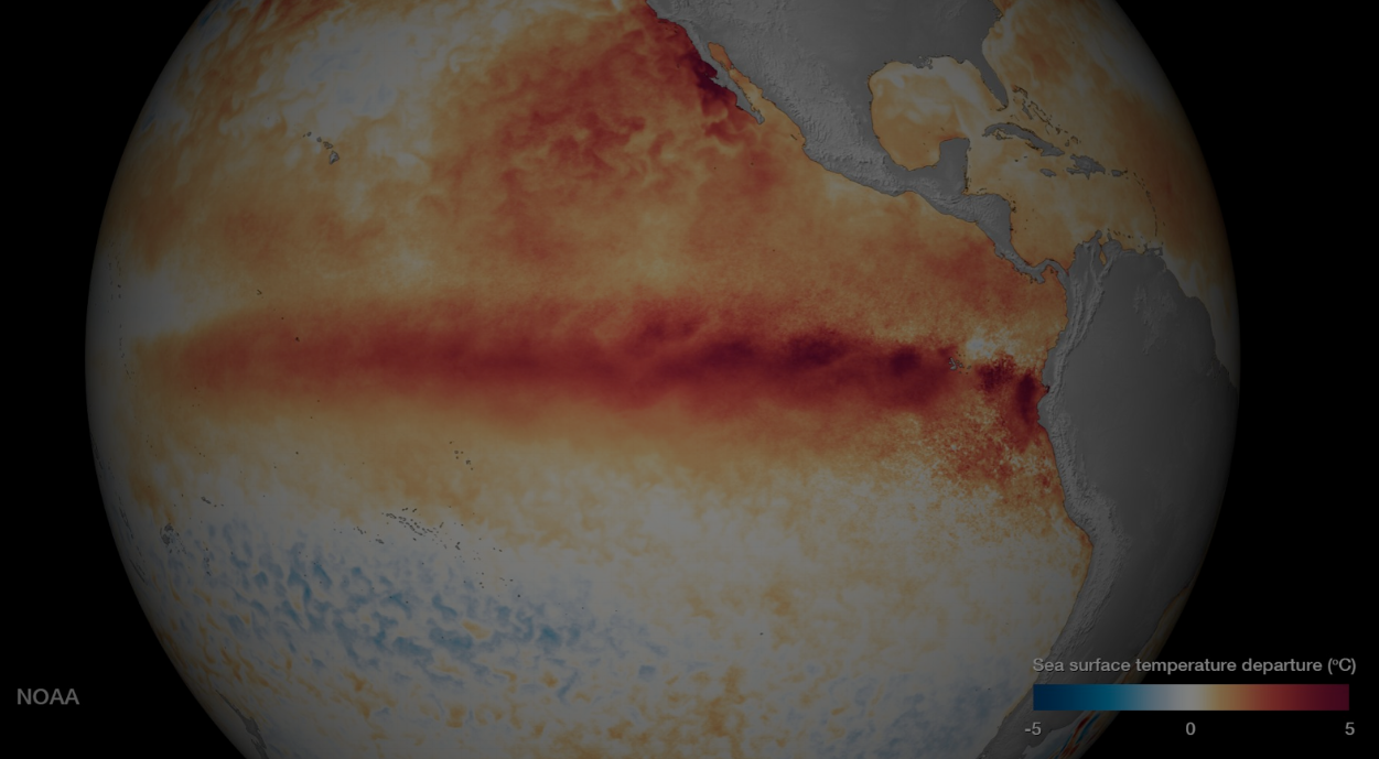 Satellite sea surface temperature (SST) from December 2015. Photo credit: NOAA