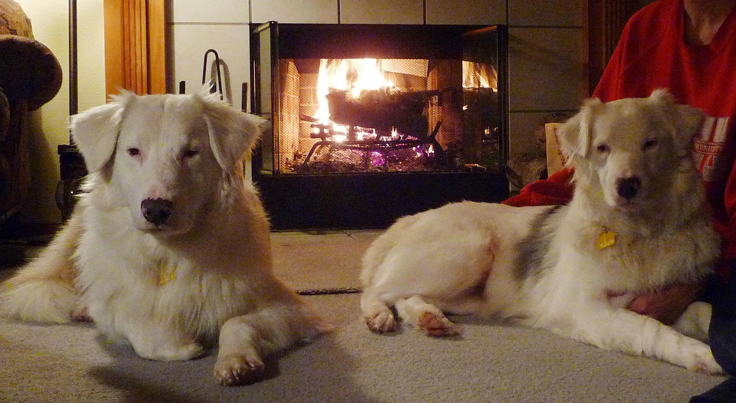 1-10-14-Charming-and-Snow-enjoying-a-fire.jpg