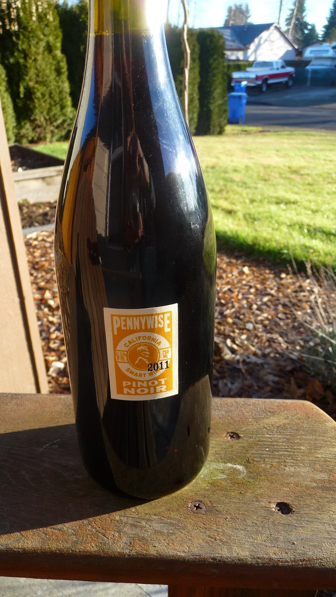 2011-Pennywise-Pinot-Noir-basking-in-our-sunshine.jpg