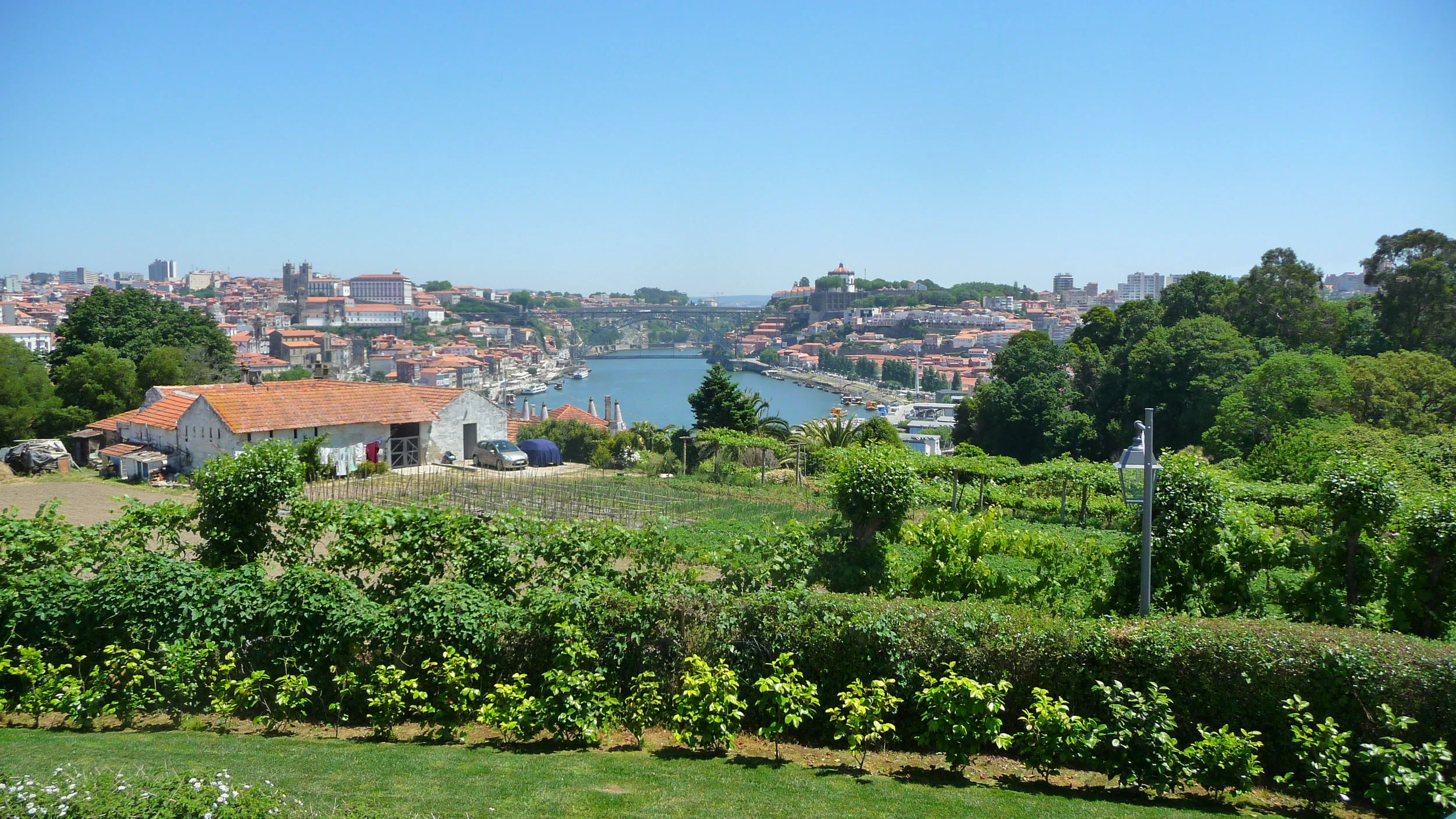 P1140016.jpg