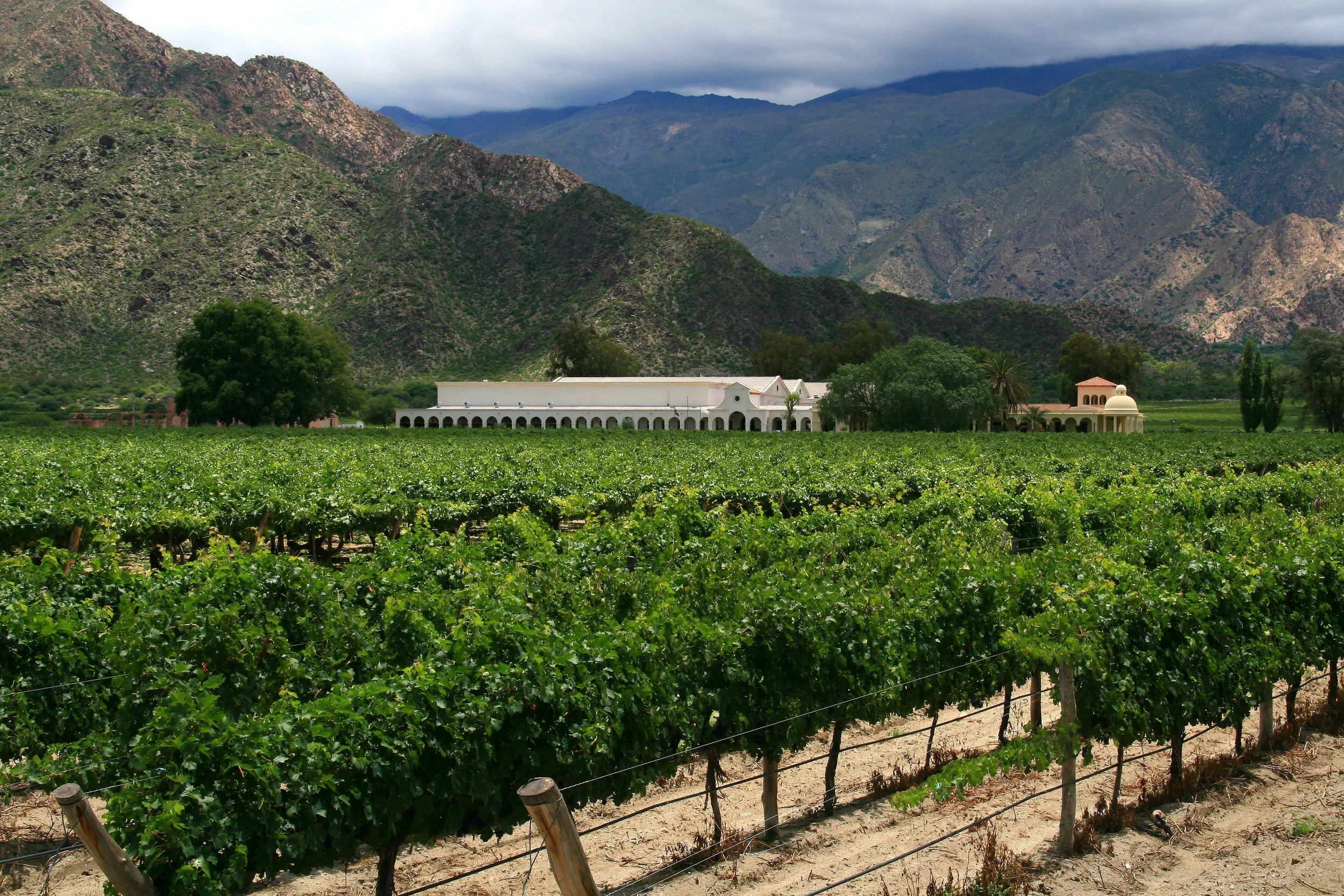 3-27-15-column-malbec.jpg