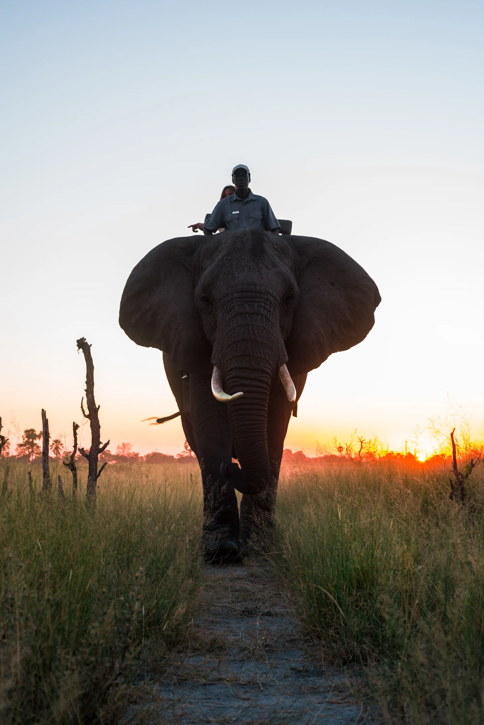 Botswana (59 of 91).jpg