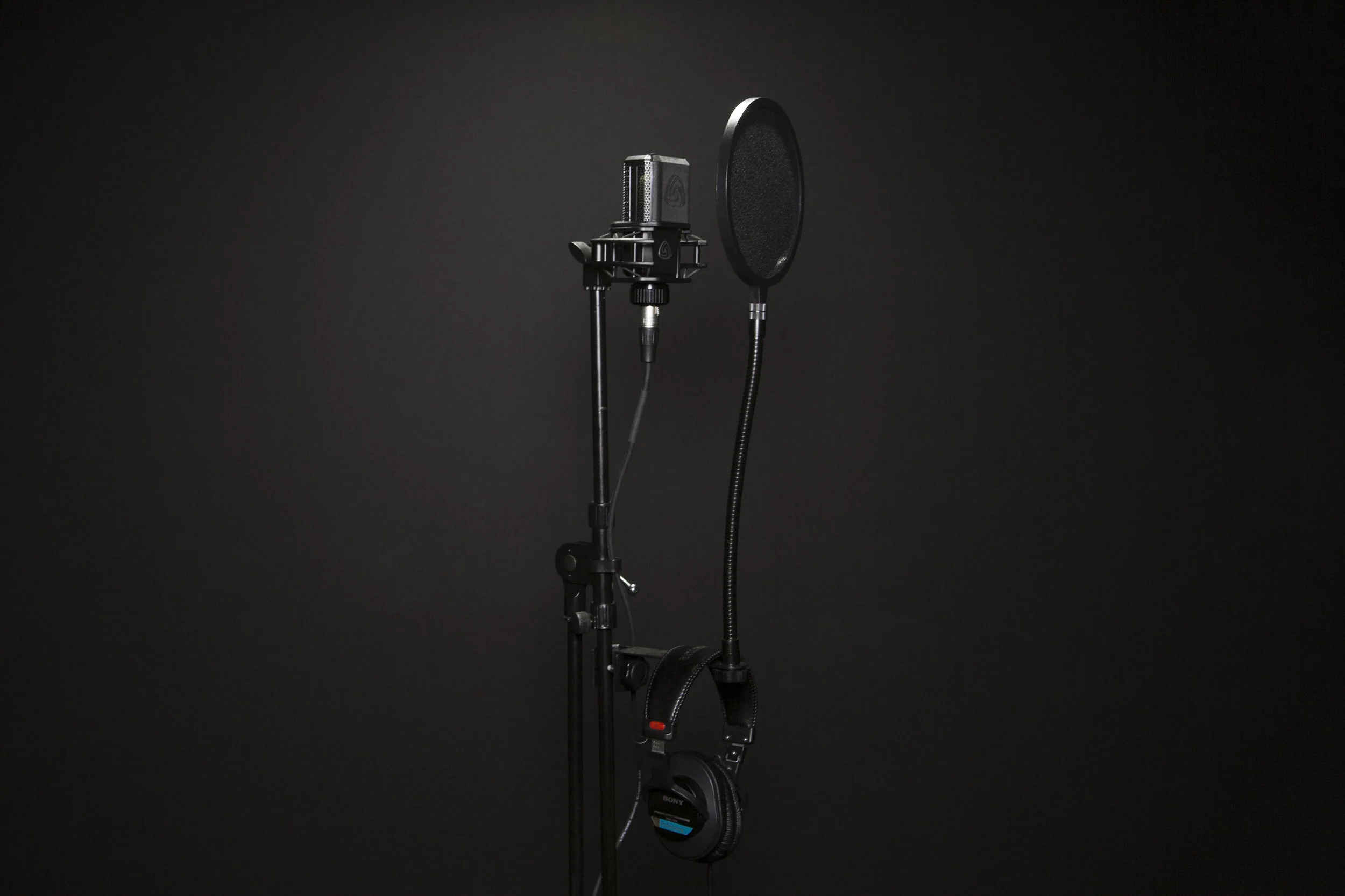 SFMW_Voice Recording-2 copy.jpg