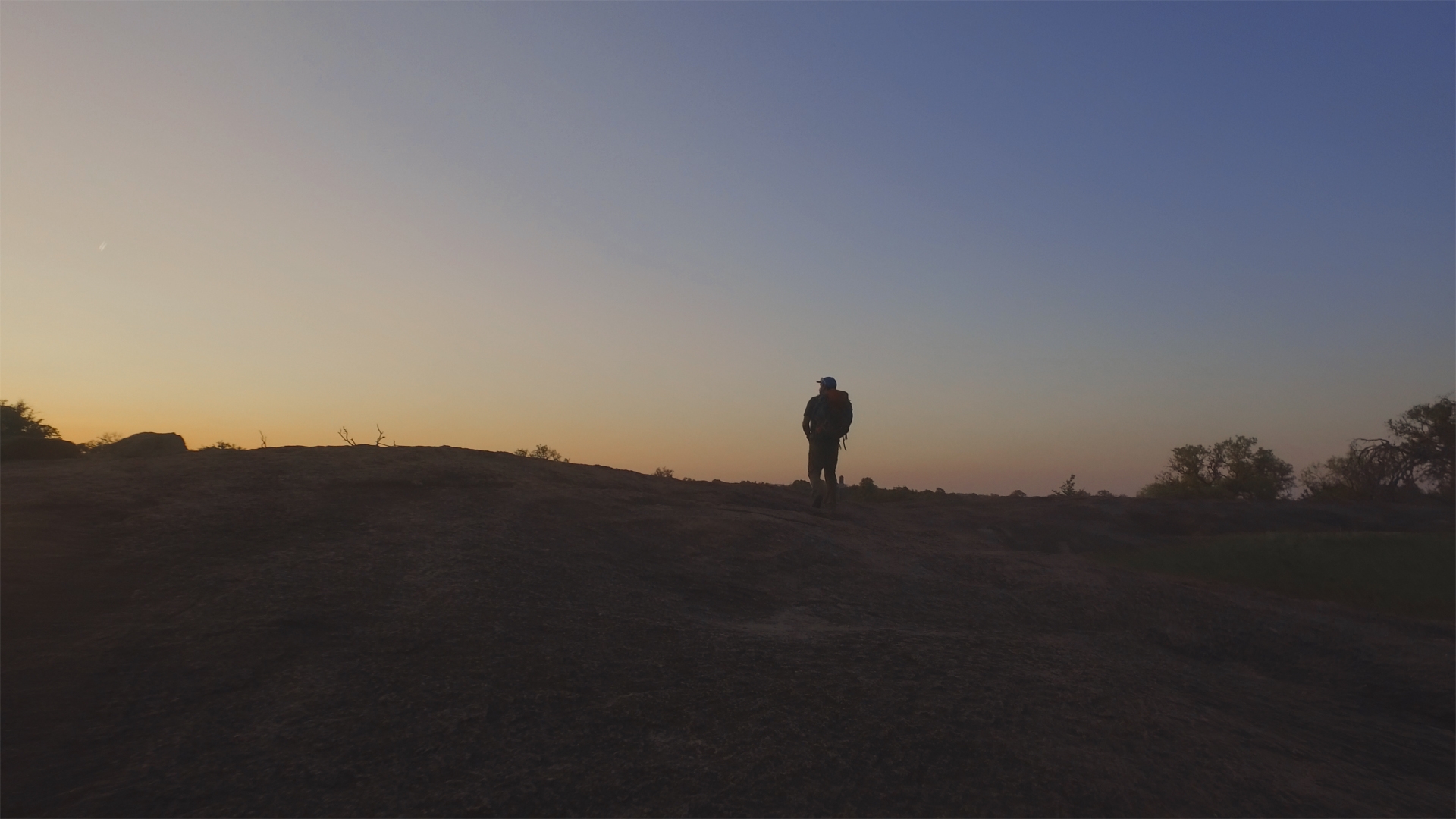 thisistexas web-social-1.jpg