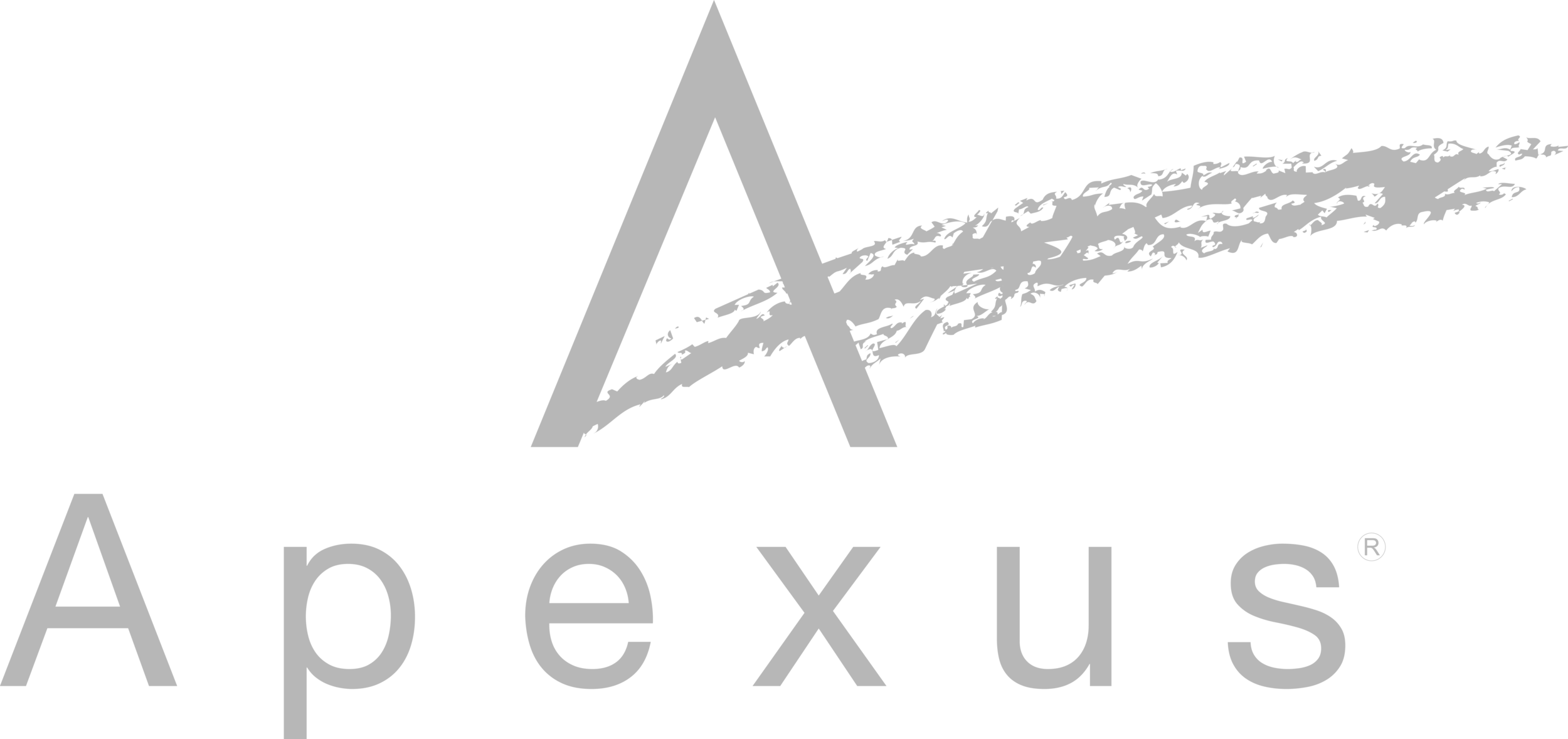 2014 Apexus Logo_Full grey.png