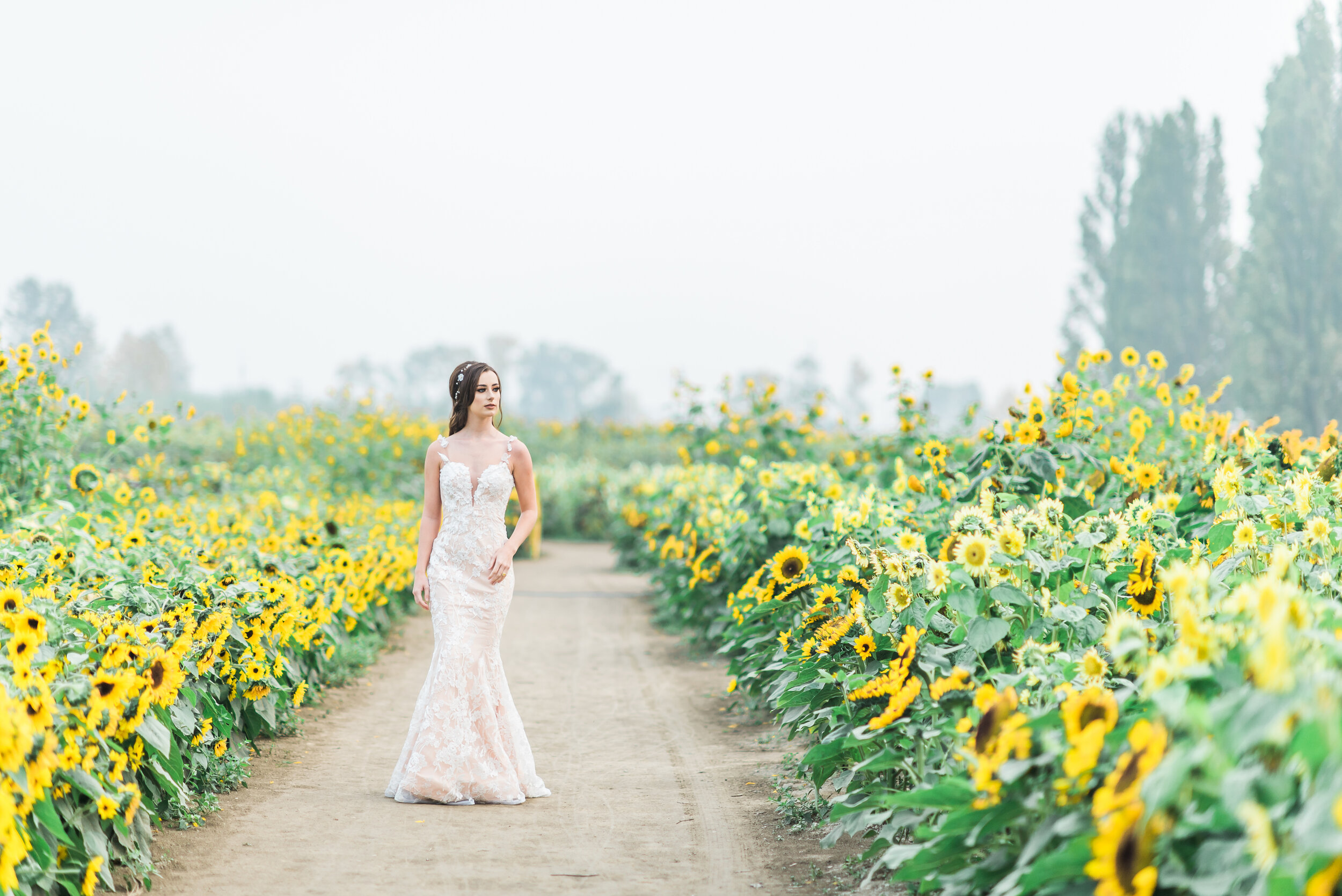 sunflower-field-bridal-model-3.jpg