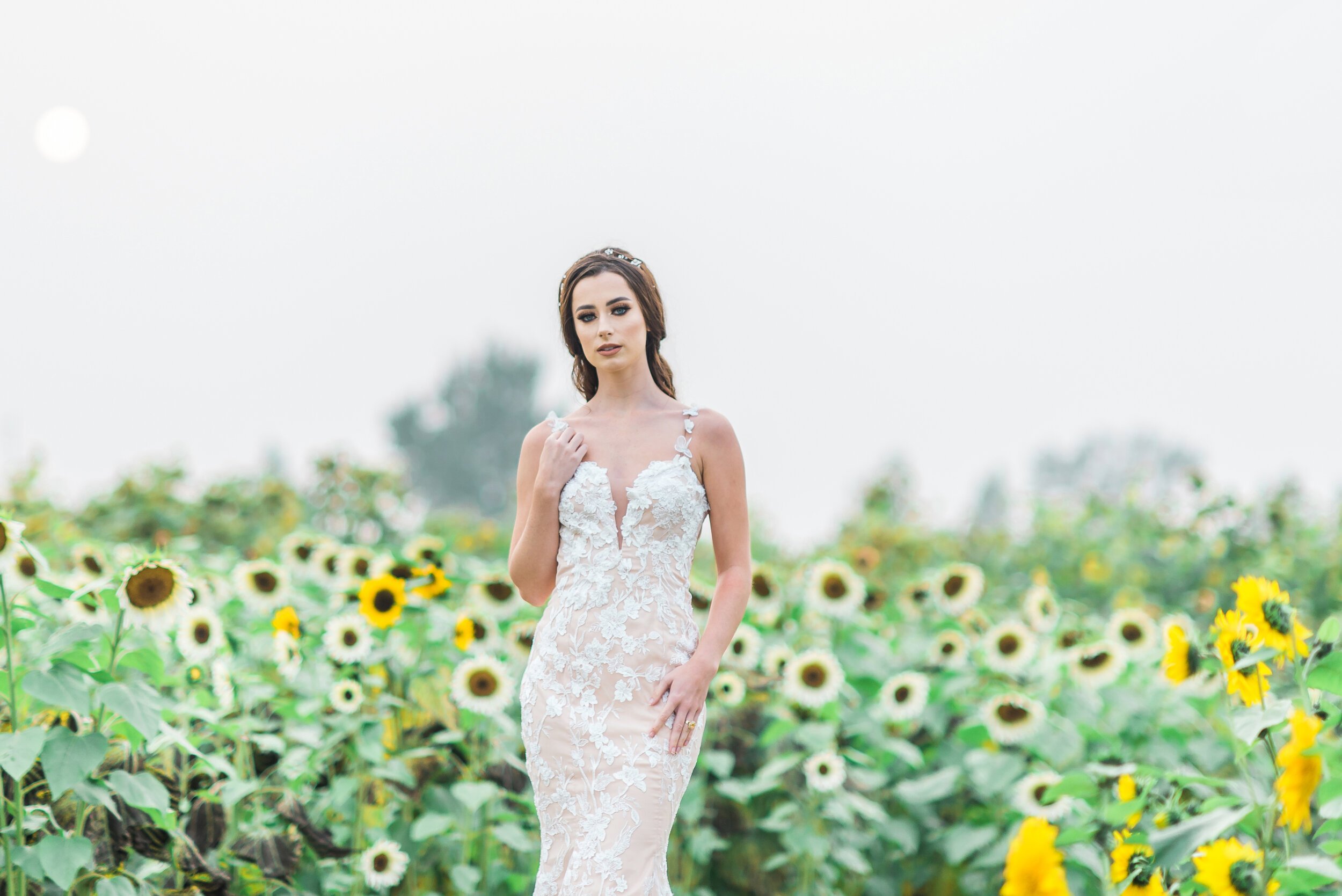 sunflower-field-bridal-model-4.jpg