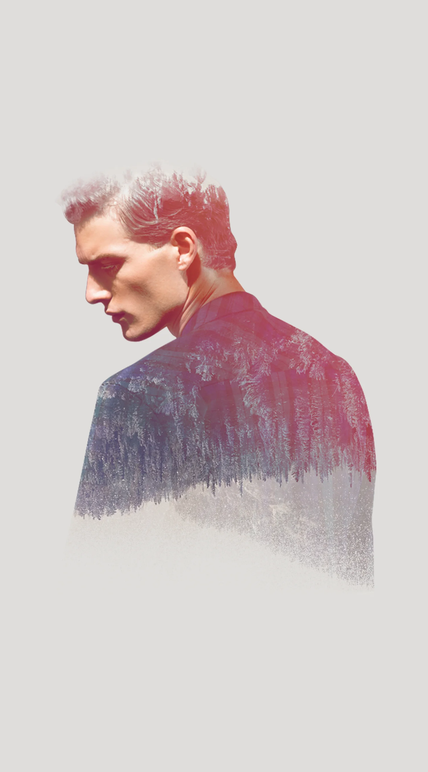 7diamonds_cover.jpg